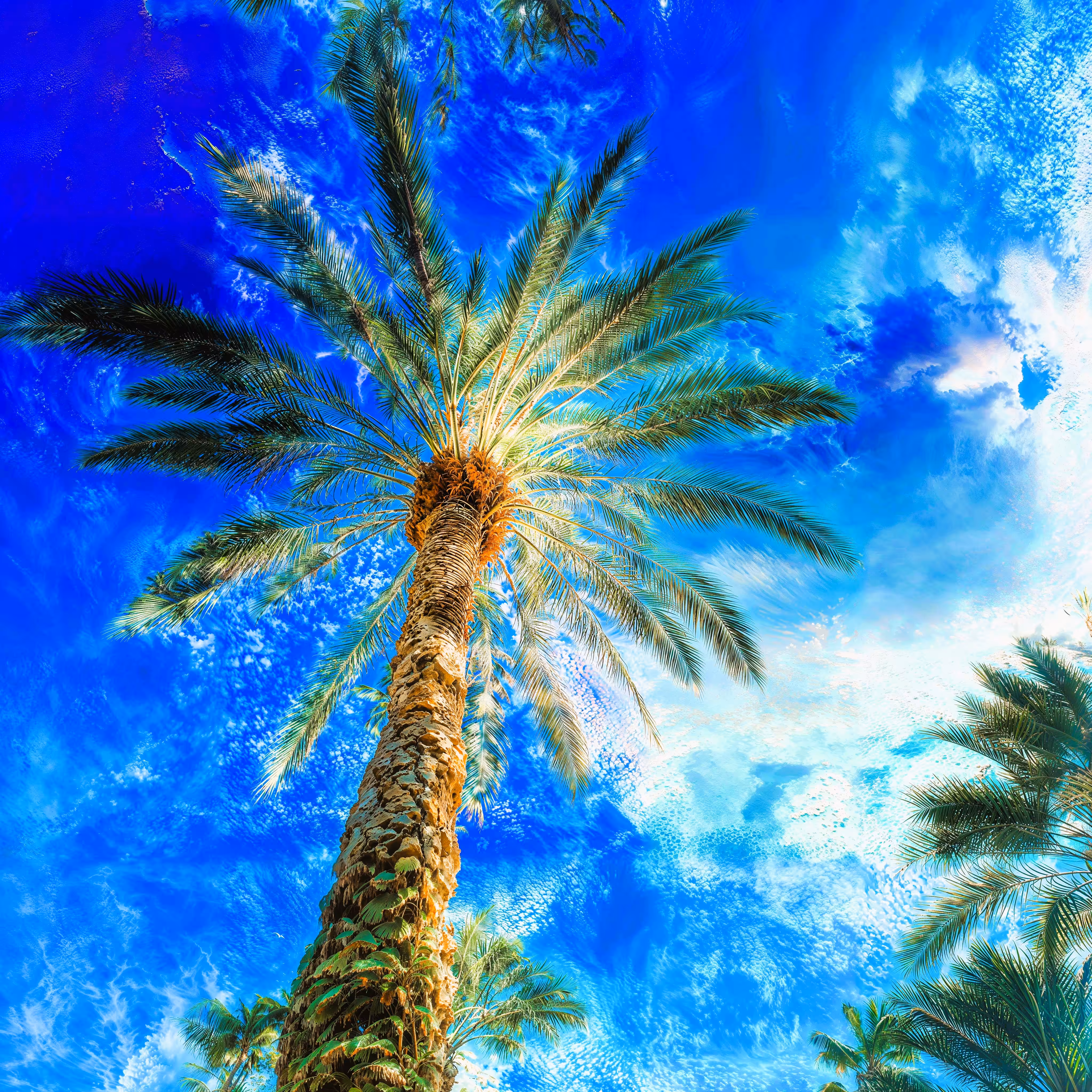 Touch the sky