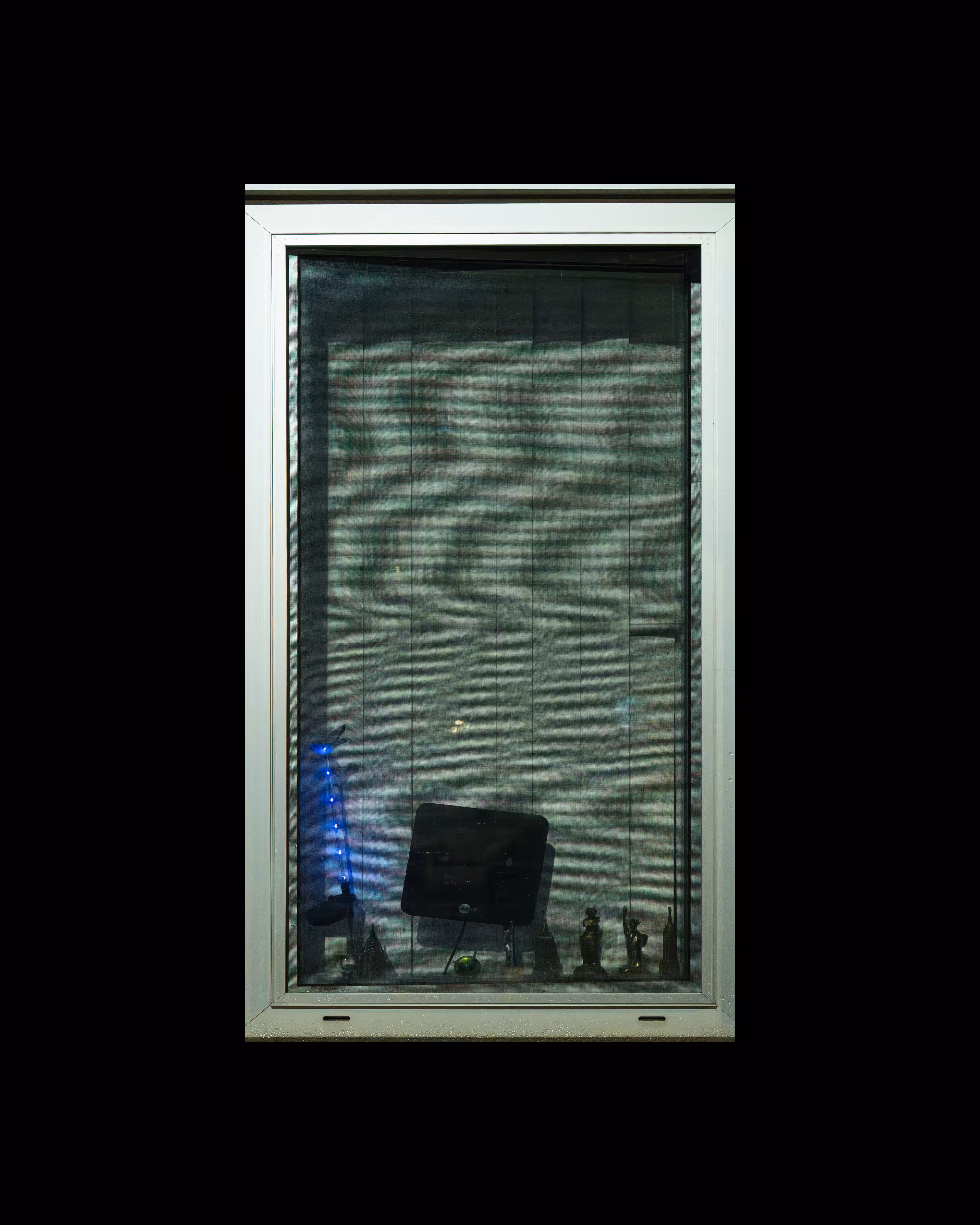 WINDOWS // NYC: WINDOW 194