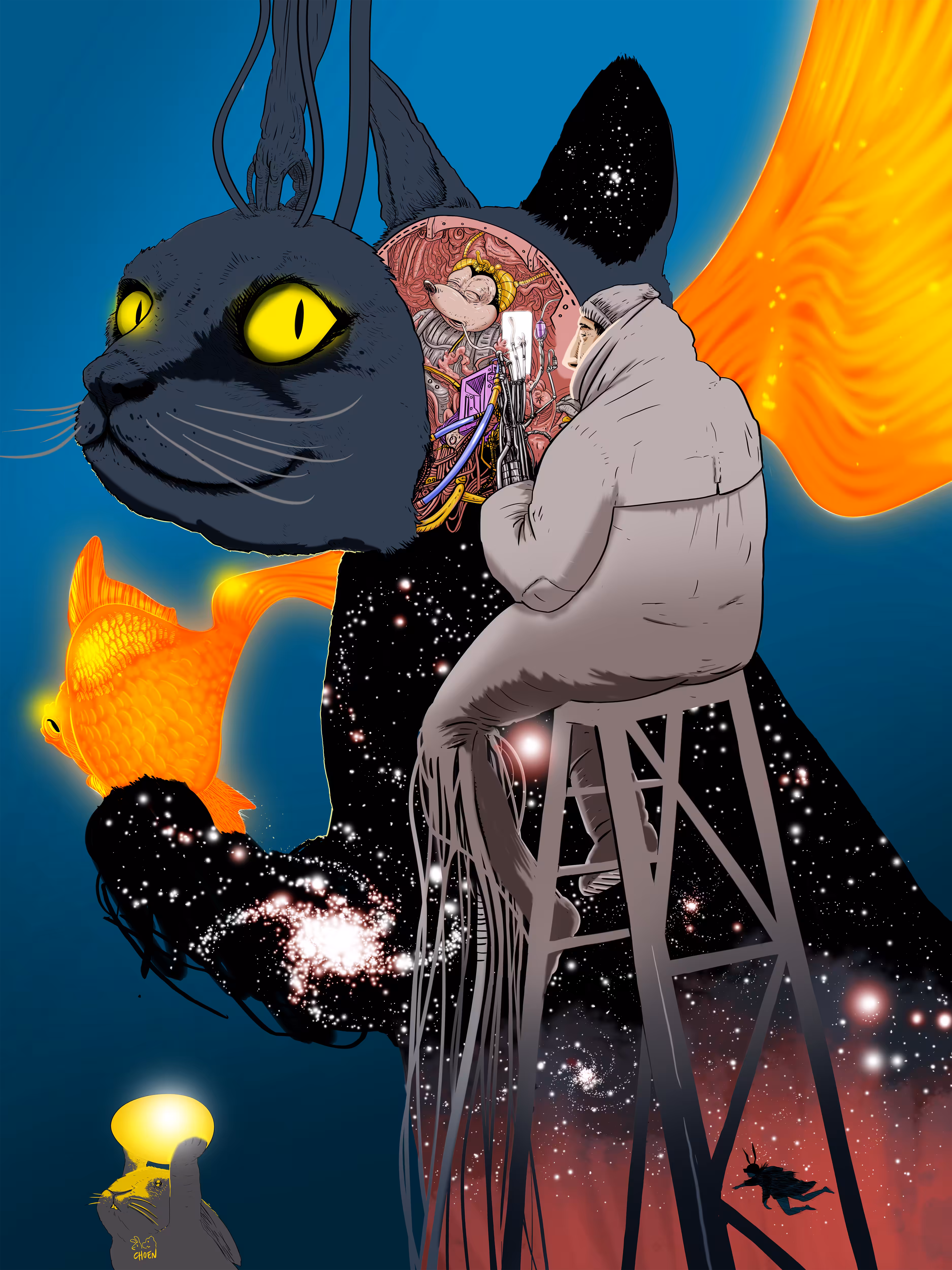 The Cat of Infinite Probabilities