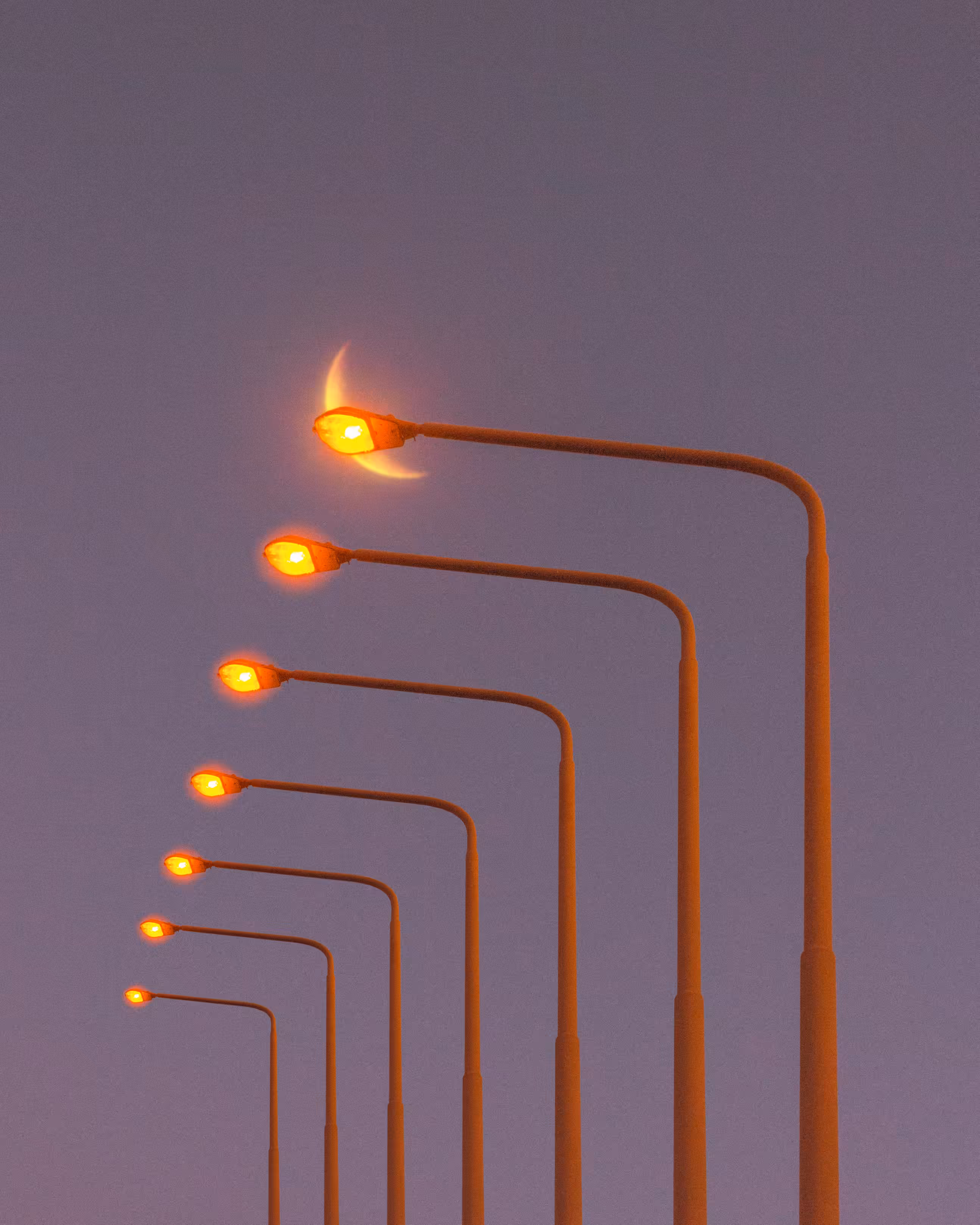Of Light Poles #12