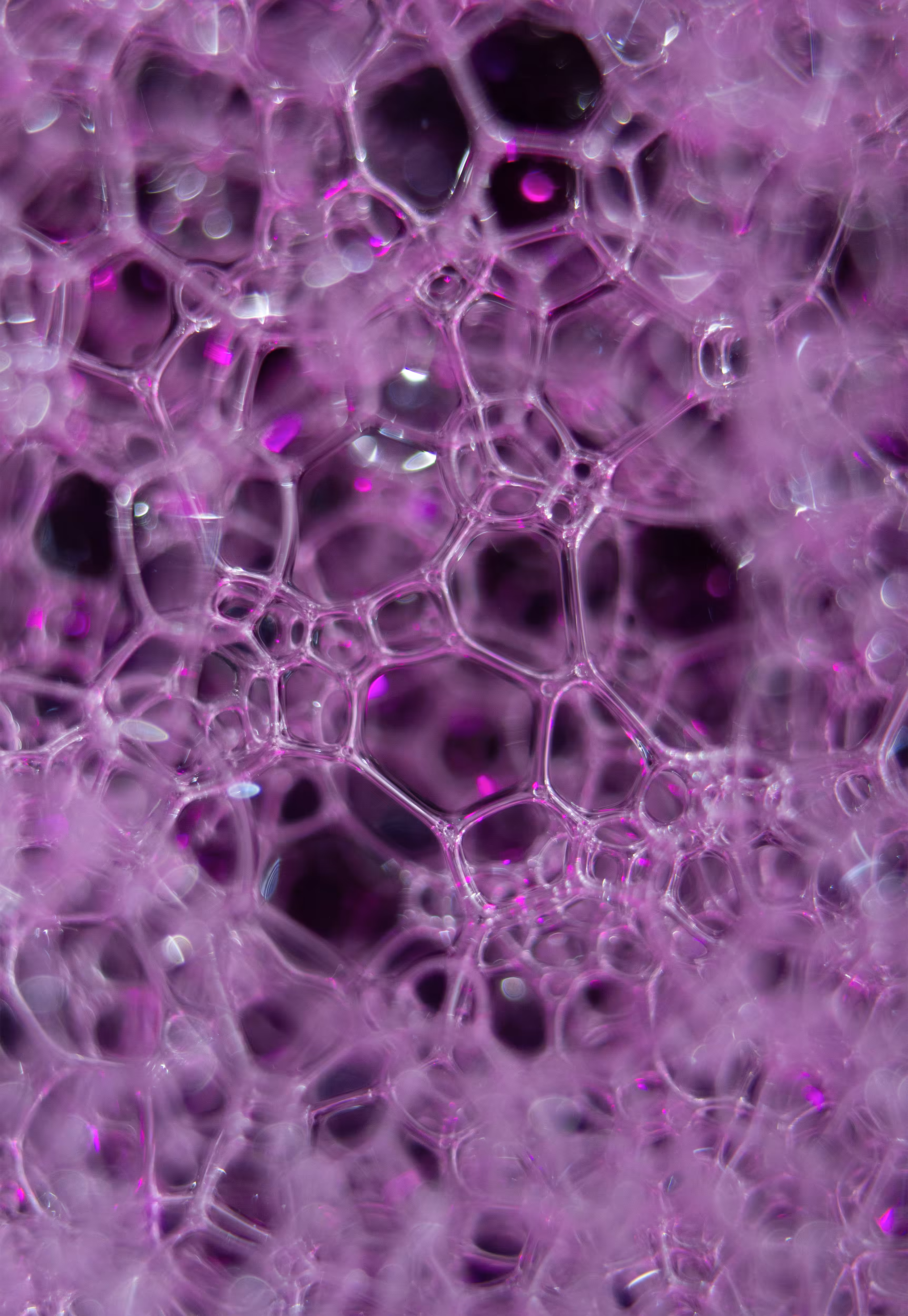 #225 Bubbles