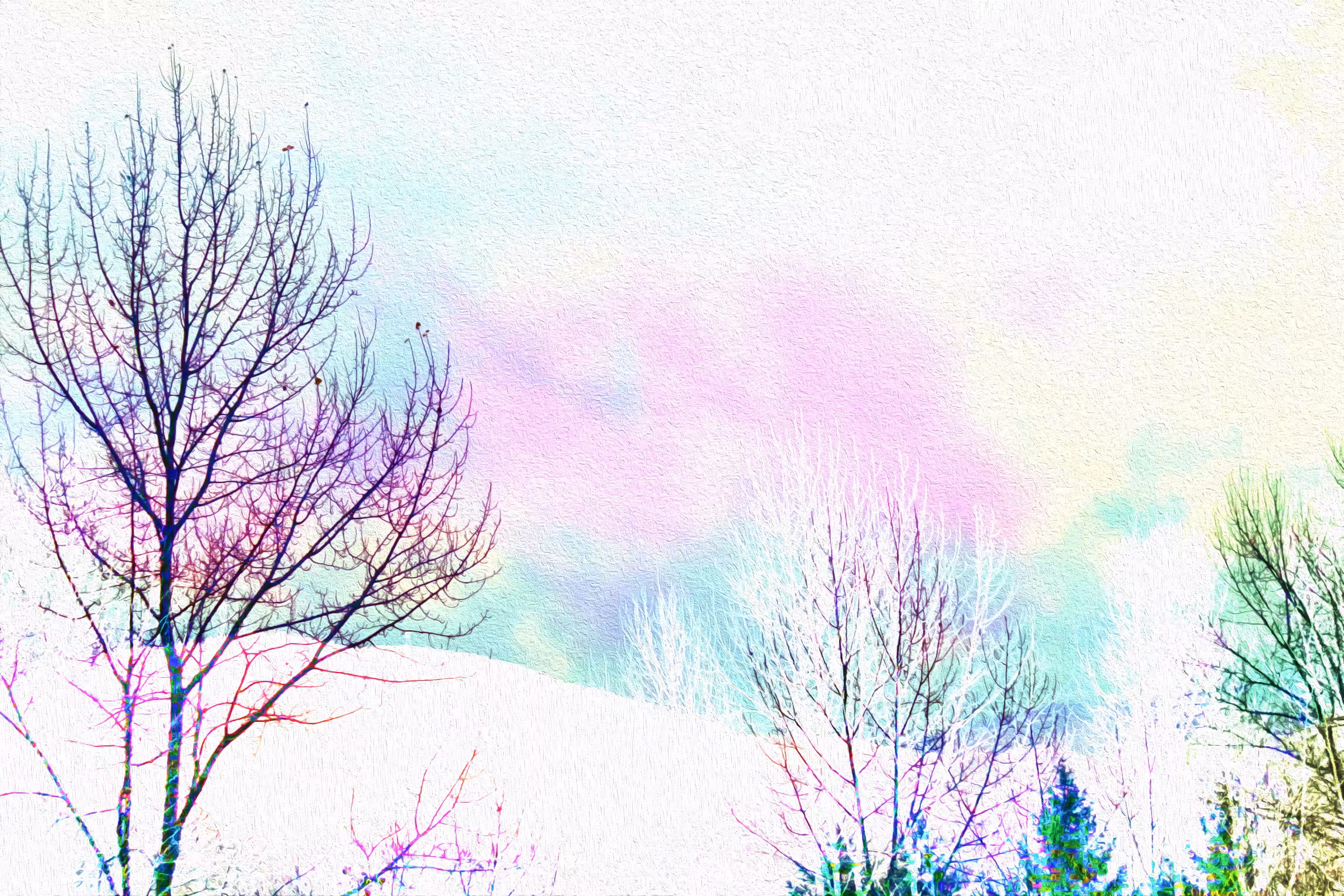 Illuminated Dreams