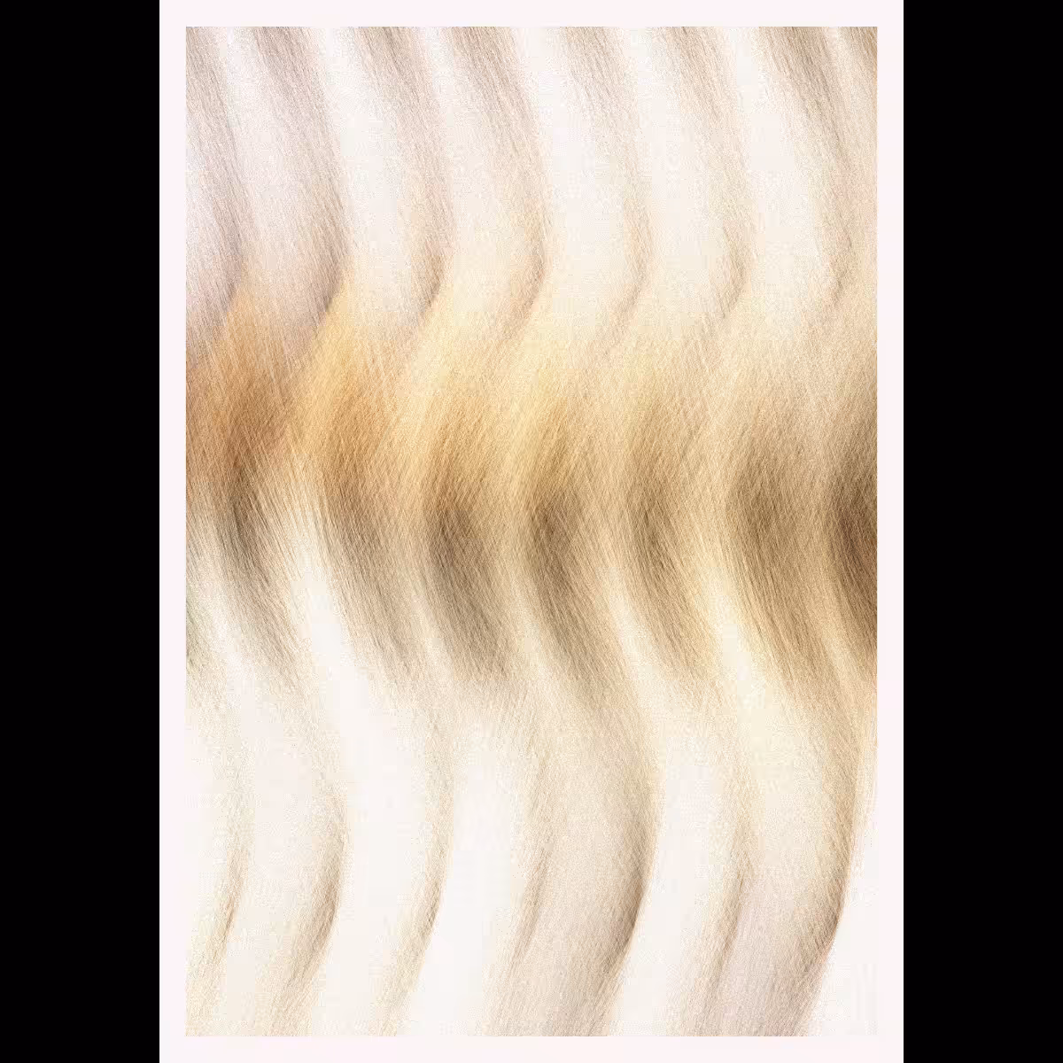 Furrr #91