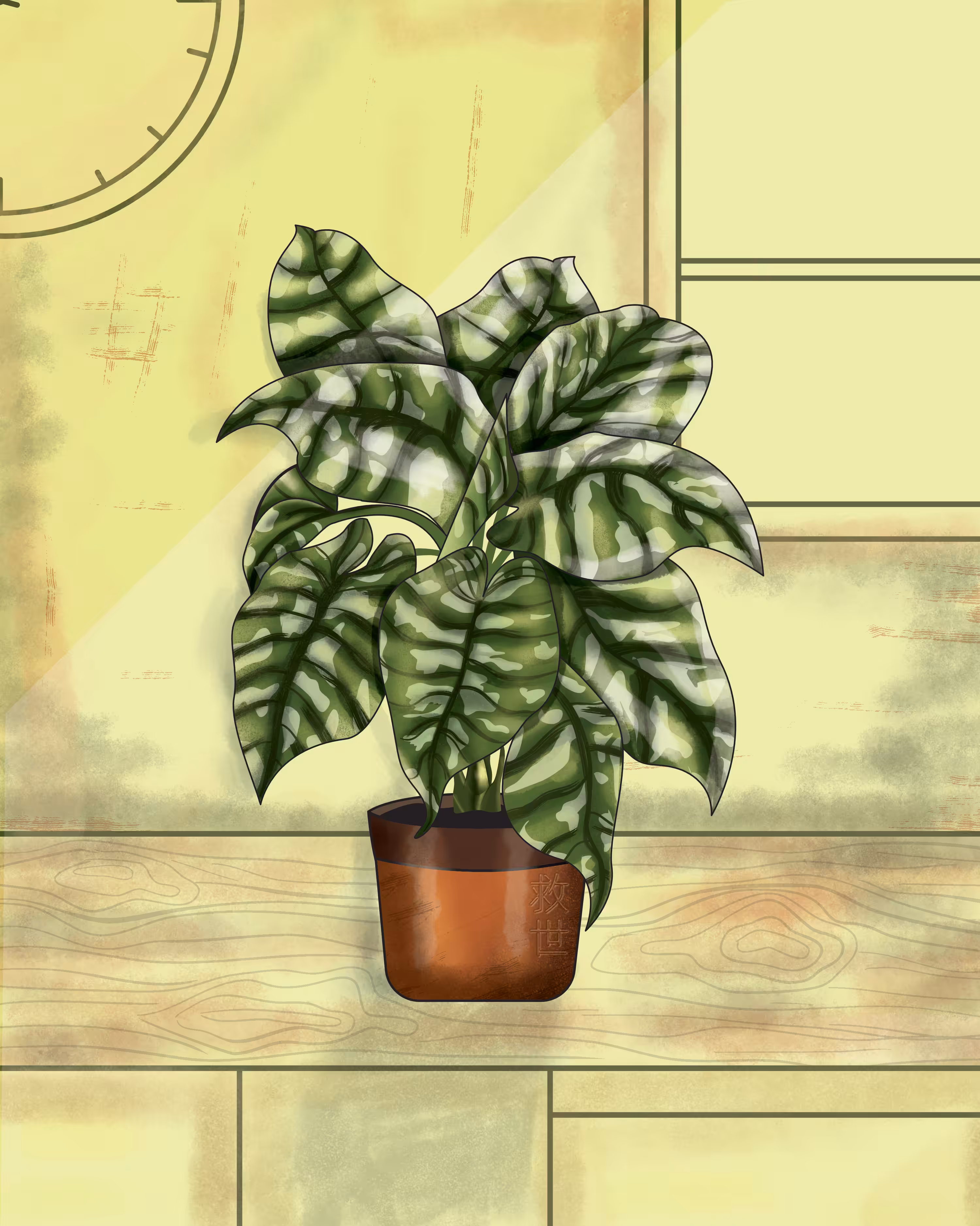 Colocasia Plant