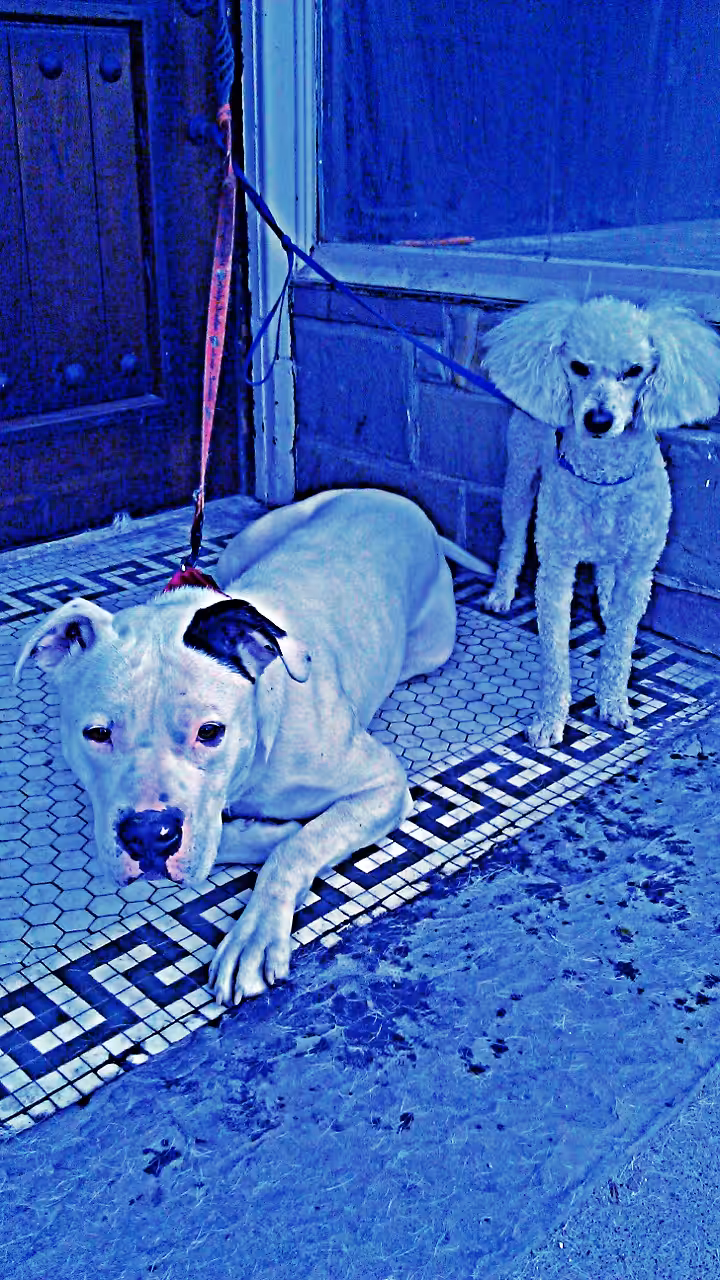 Sid and Nancy