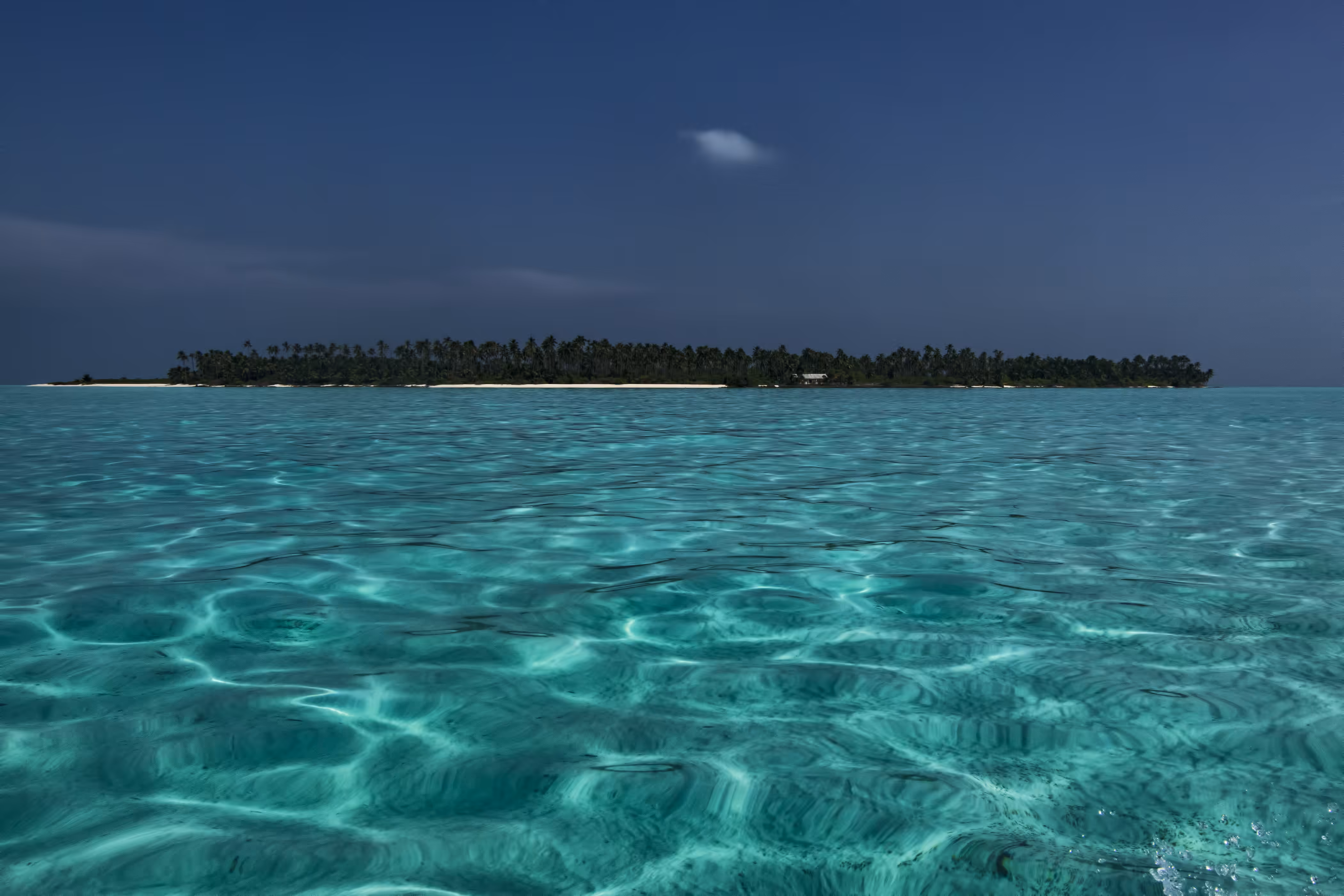 Into The Blue Down 