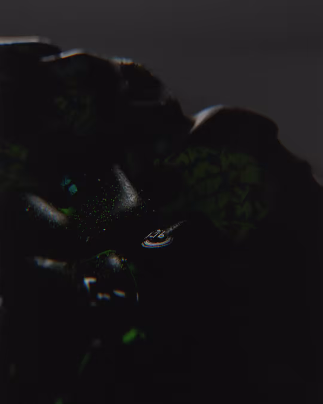 Neural Schism