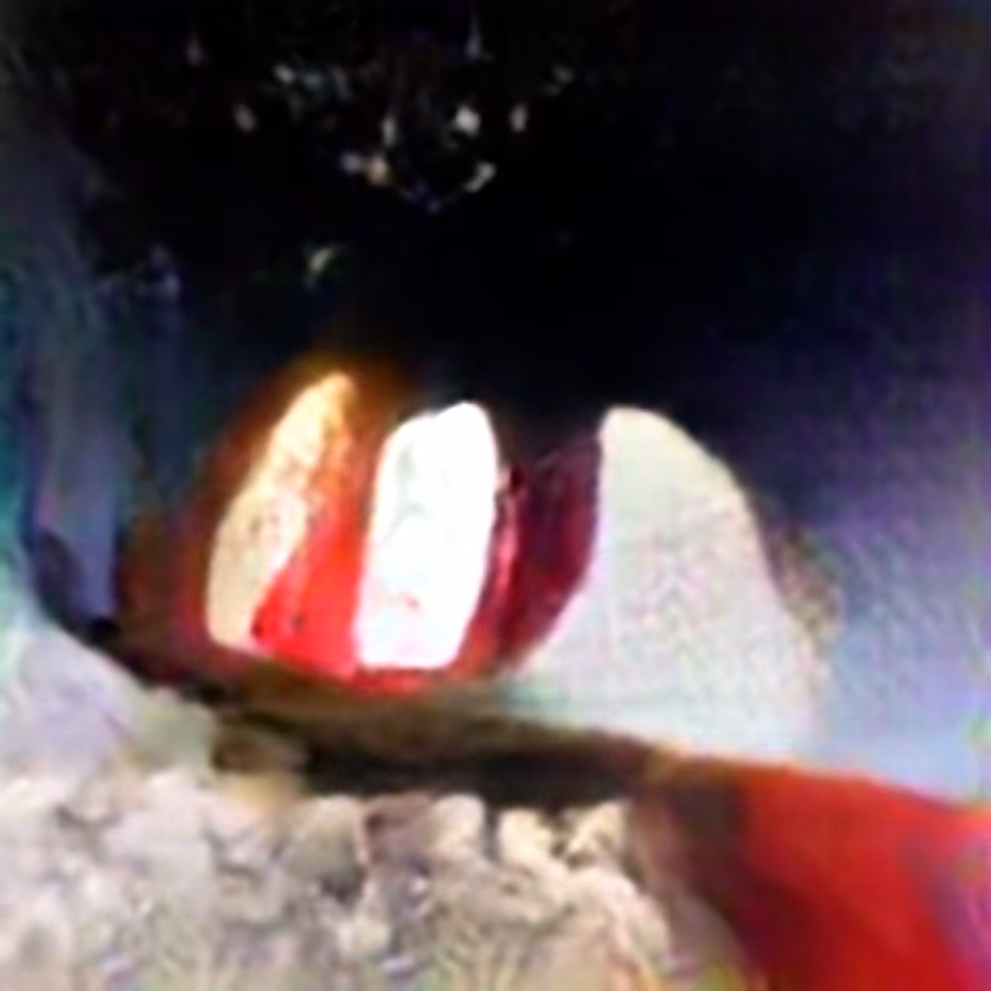 False Teeth #2 (Corpus: The Interpretation of Dreams)