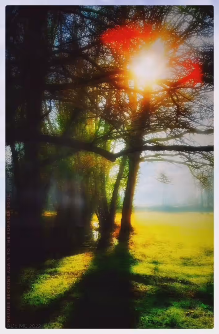 'nature beckons again...' (animated)