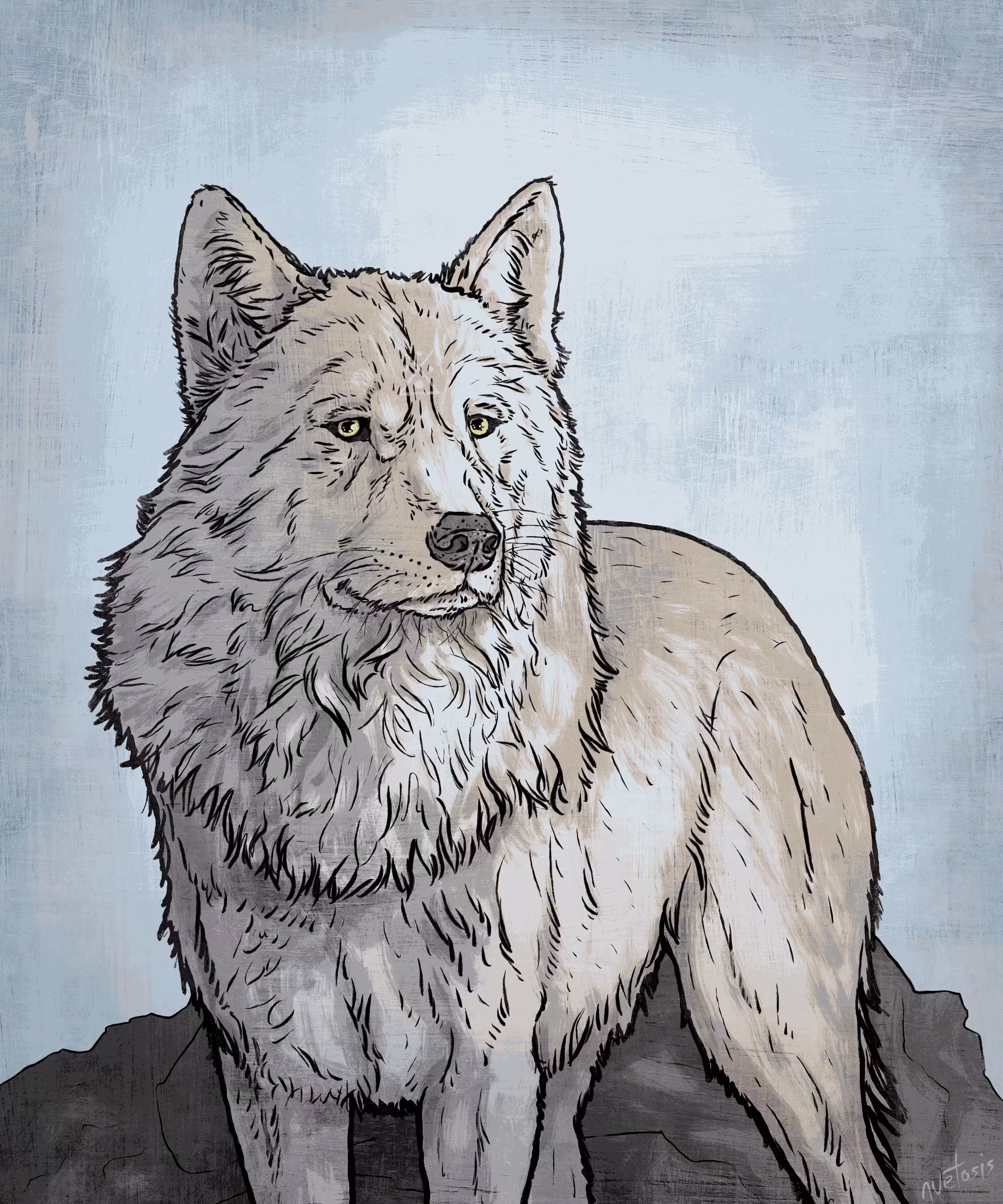 White Wolf