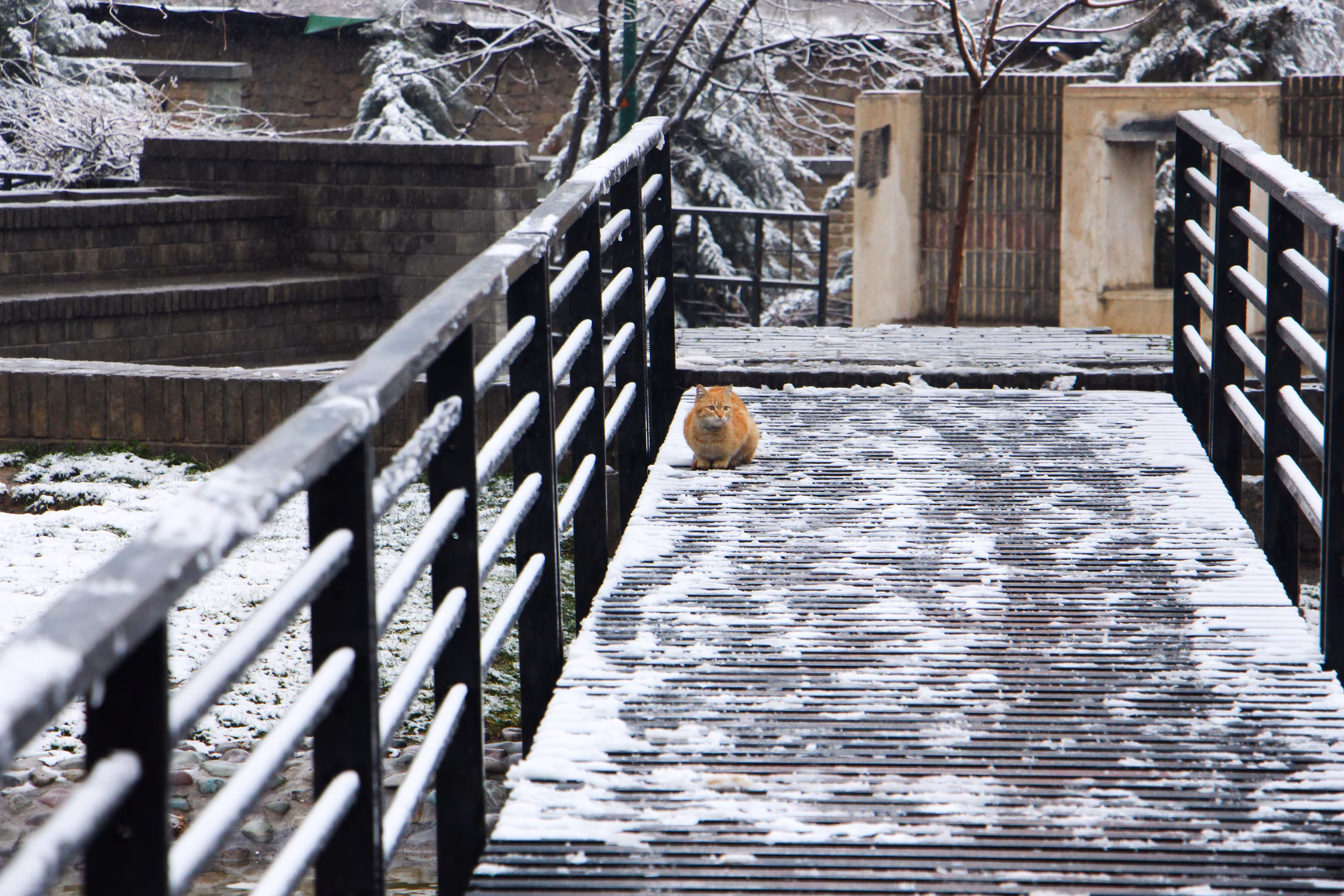 The Warmest Thing Outside
