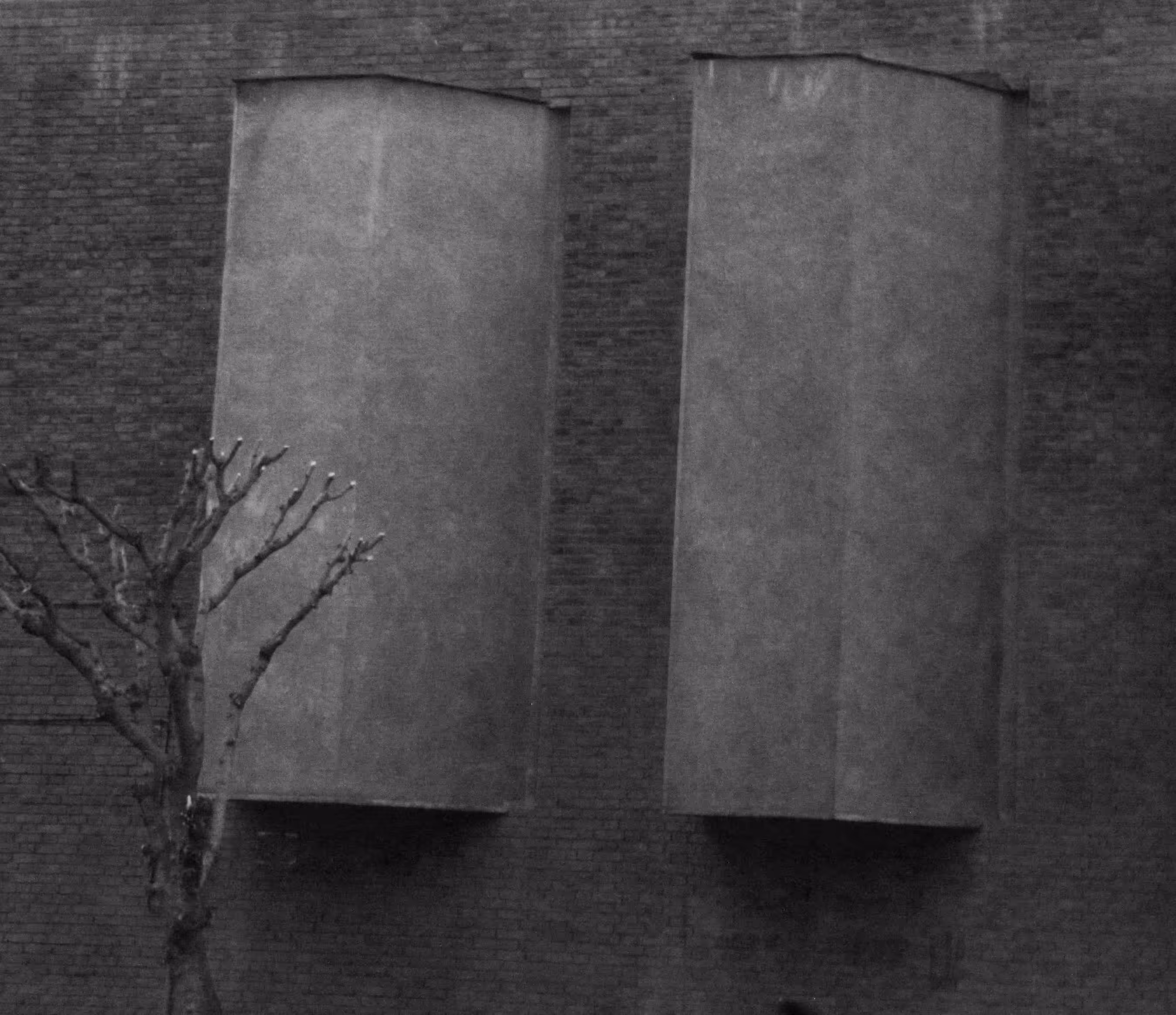 Treewall