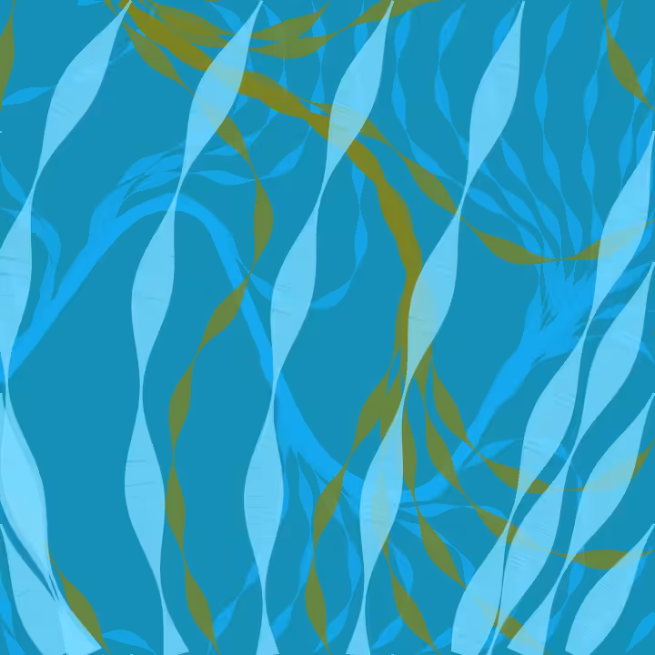 Kelp #26