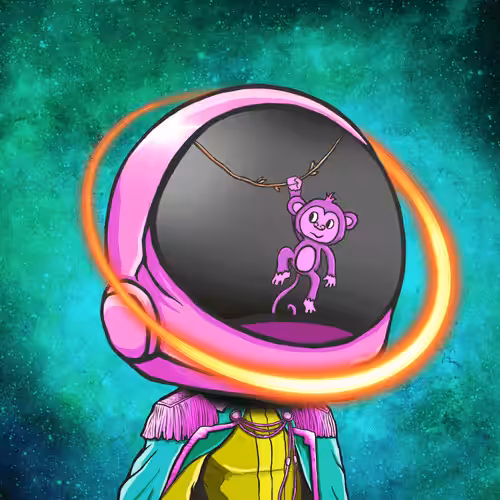 VibeNauts #3493