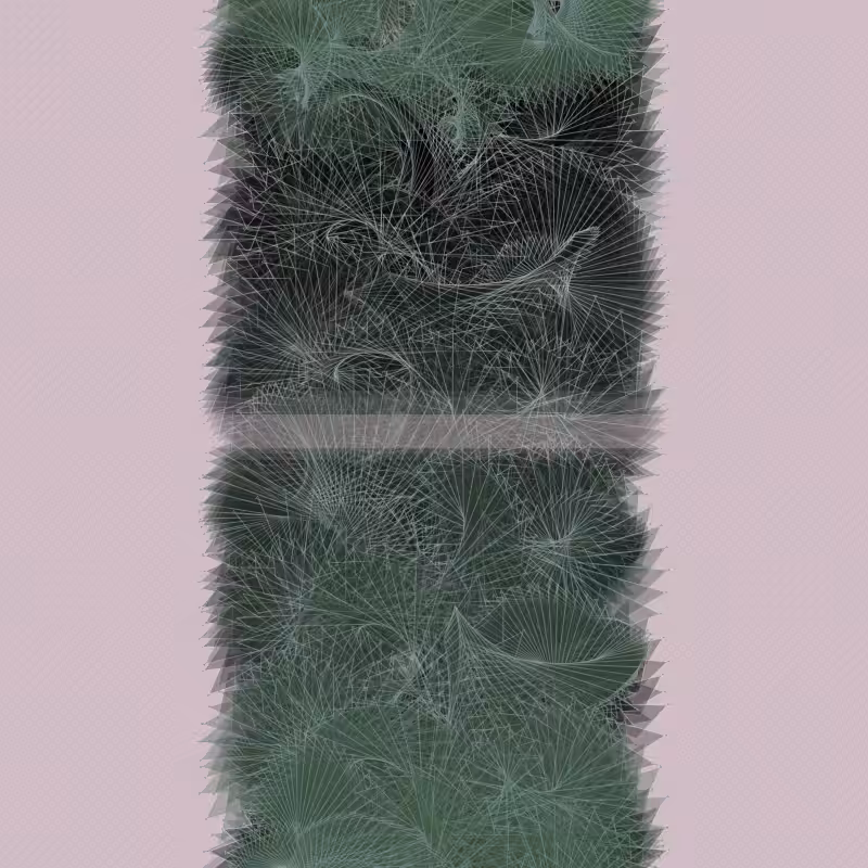 Braids/burdens #51