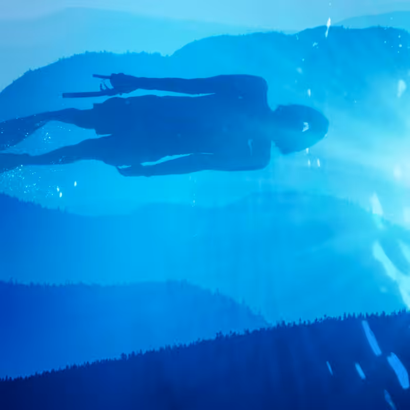 Mountain Underwater #2