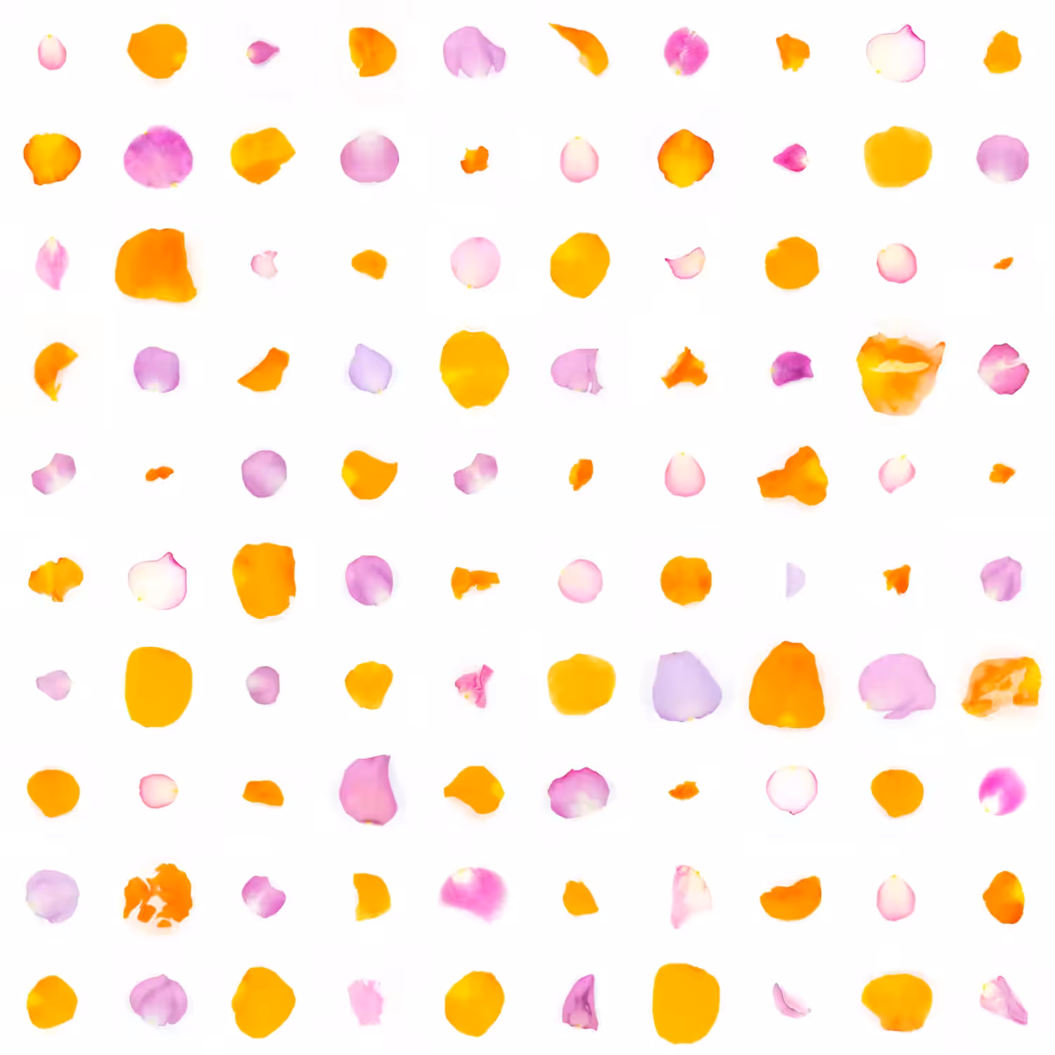 Infinite Petals 10x10#418