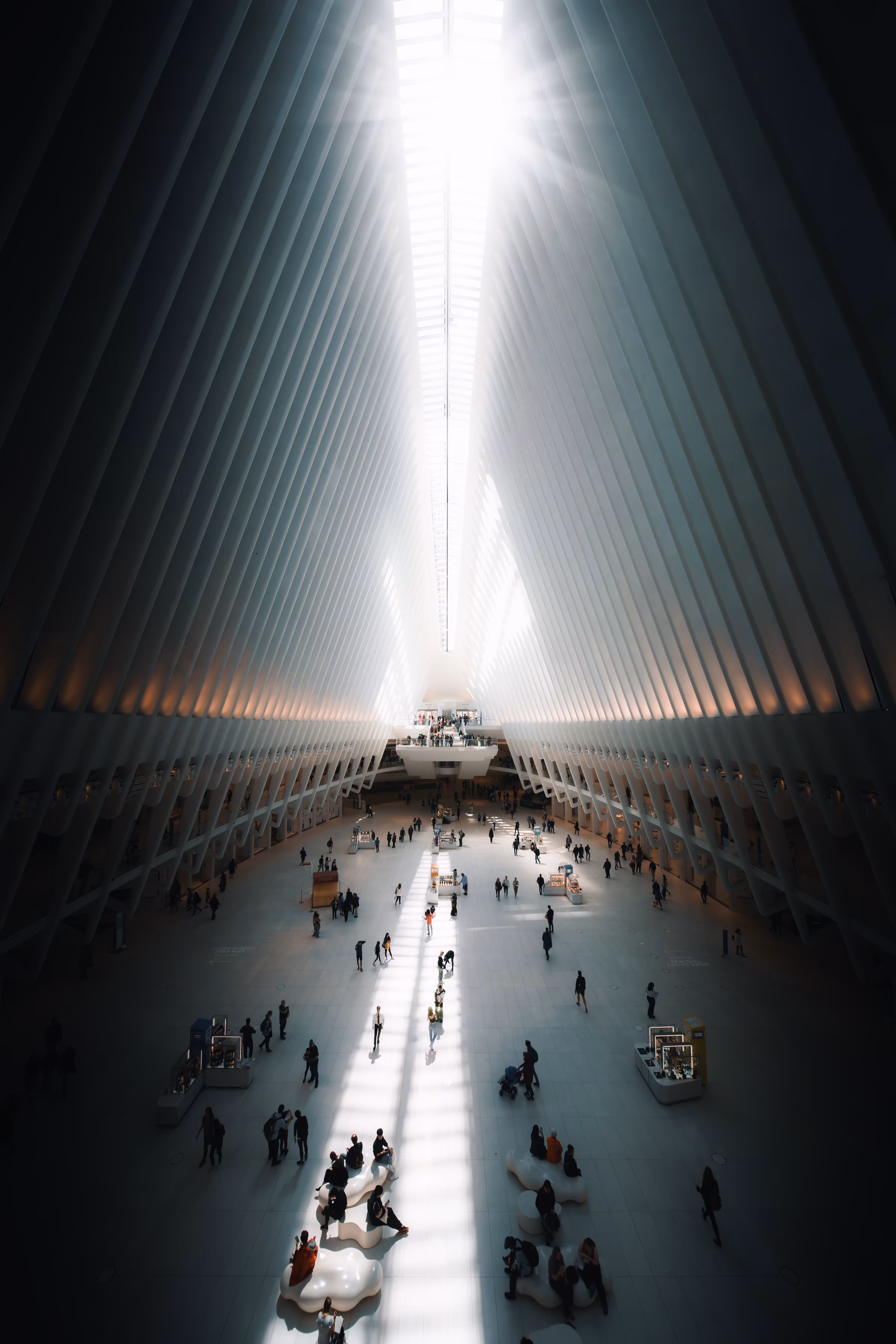 light and shadow