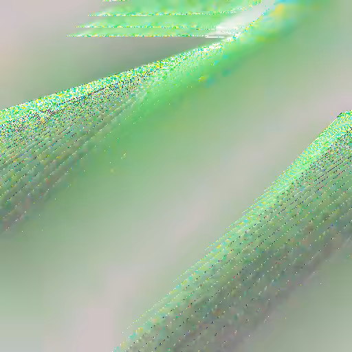 Superalternation #12
