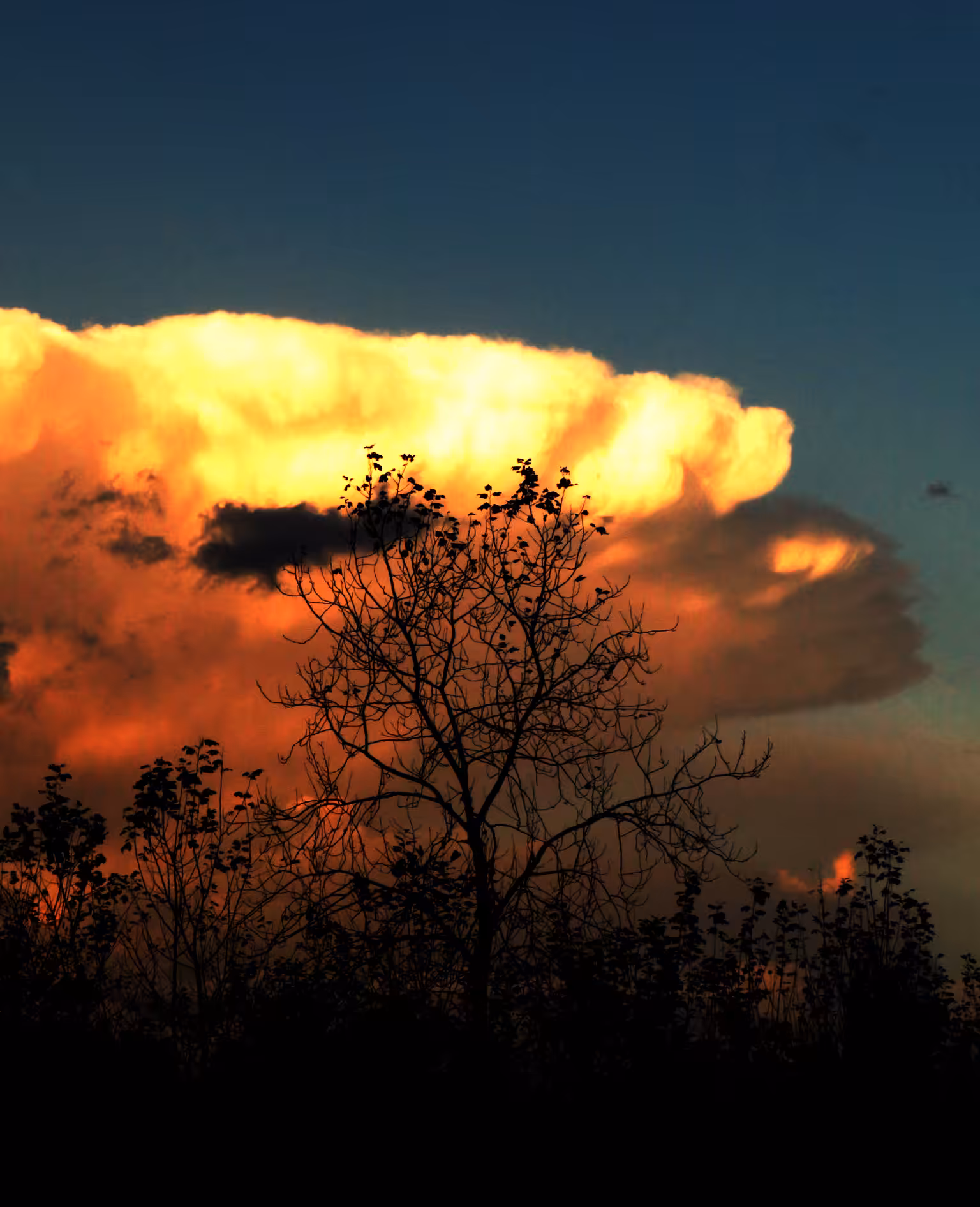 Mushroom Cloud 008