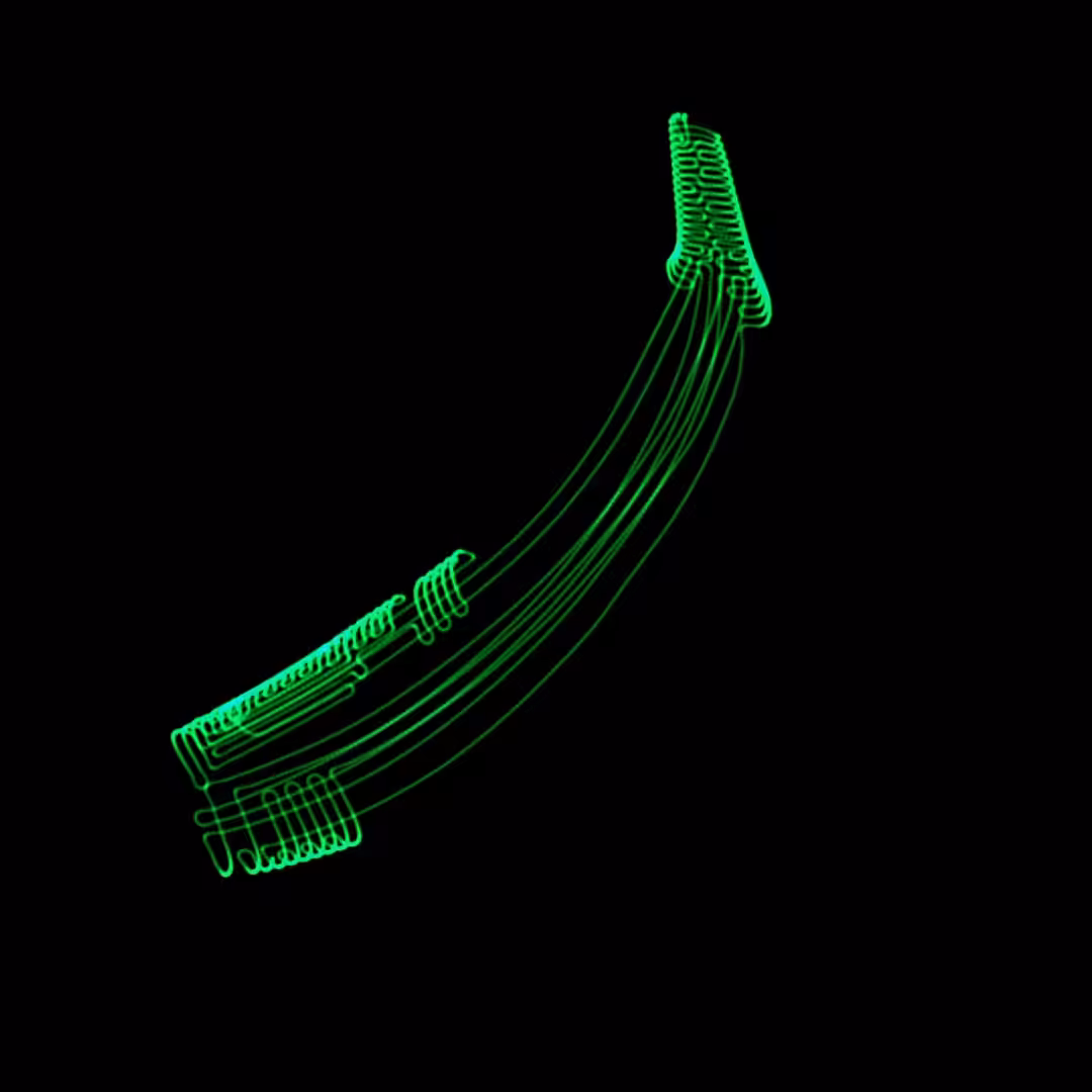 Monkeys Found the Oscilloscope