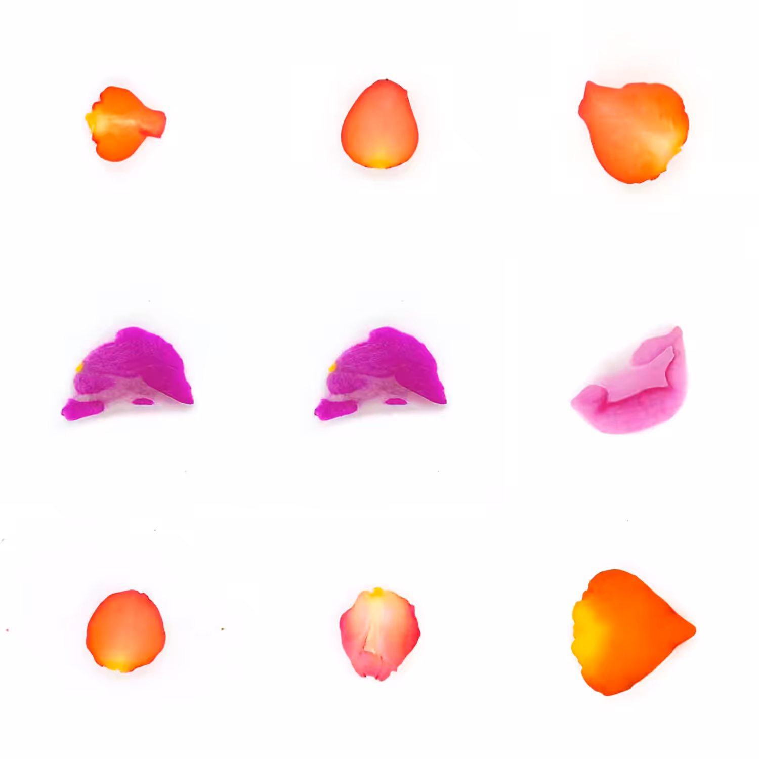 Infinite Petals 3x3#3768