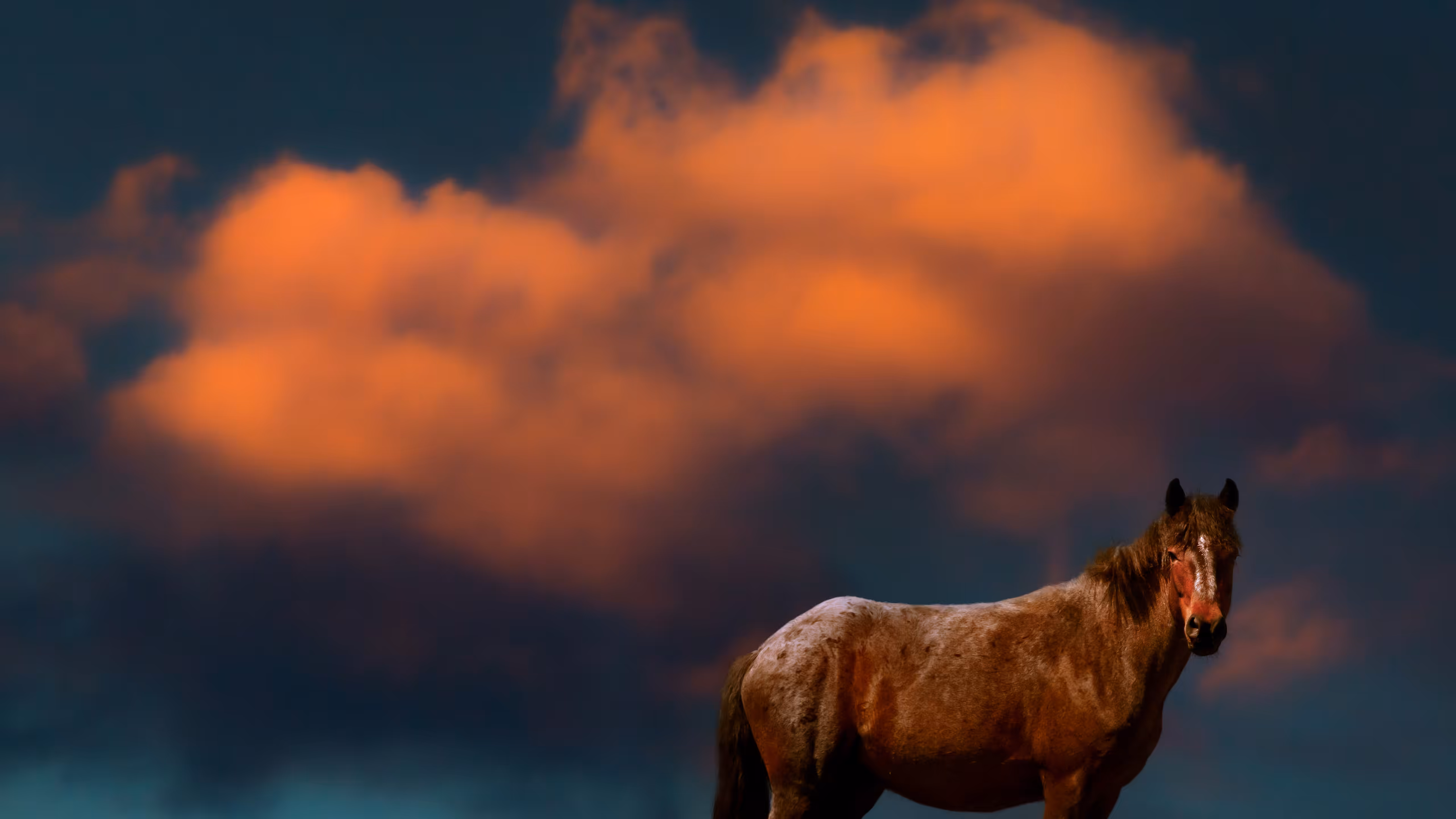 Red Cloud