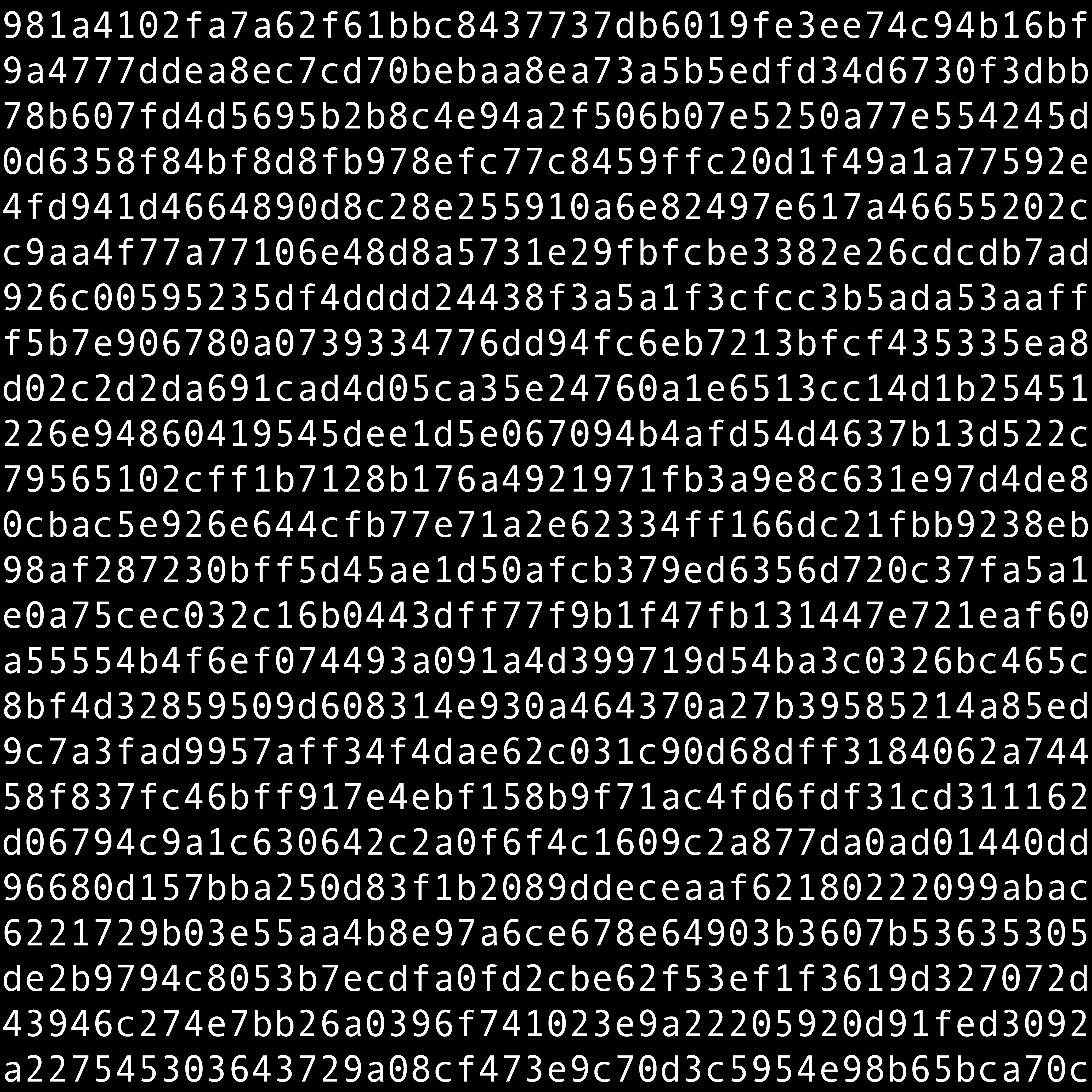 1111 #0691