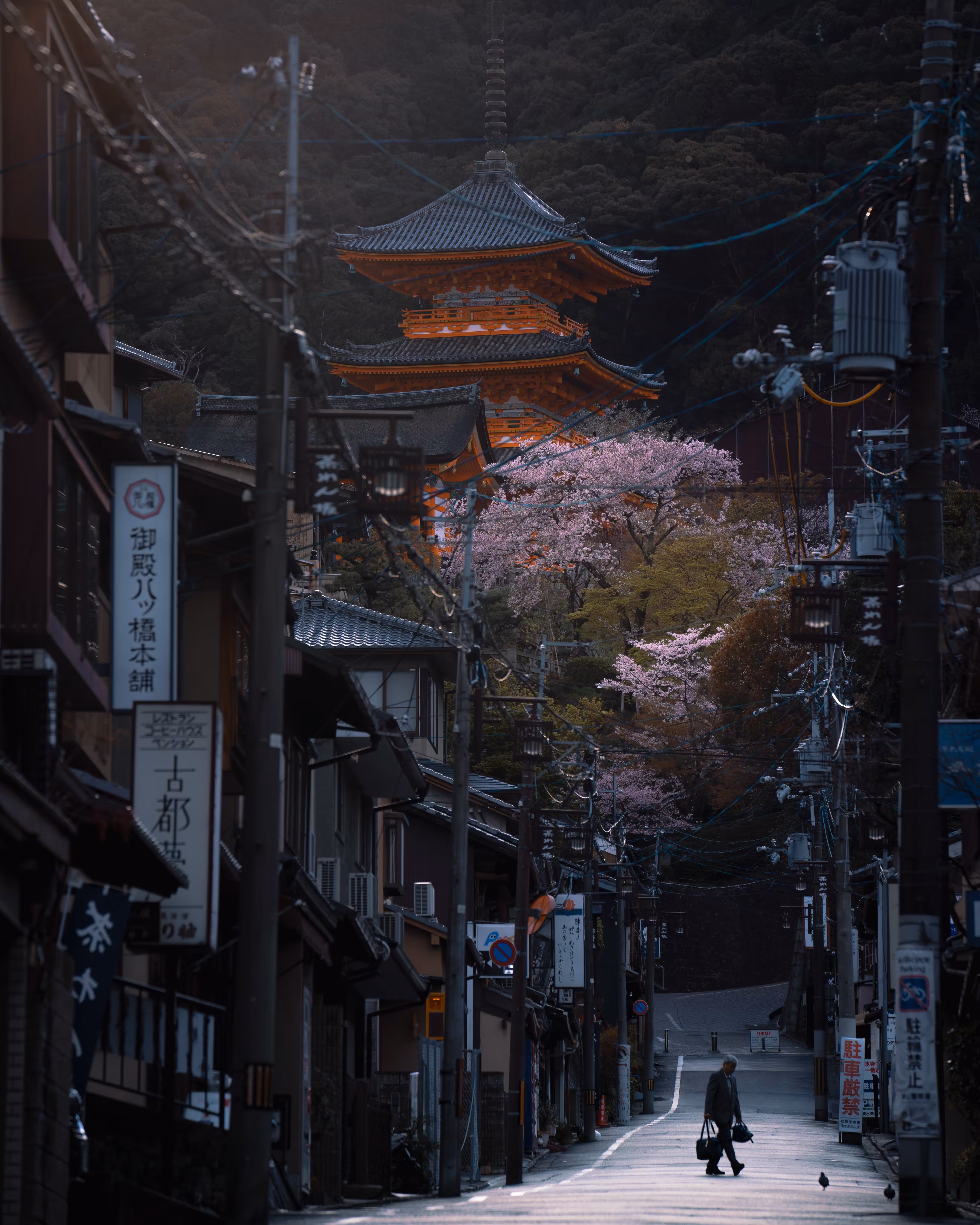 Morning in Kyoto