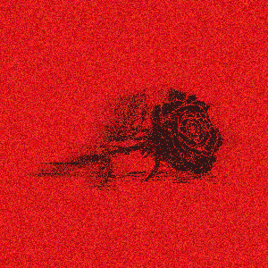 Roses are Dead