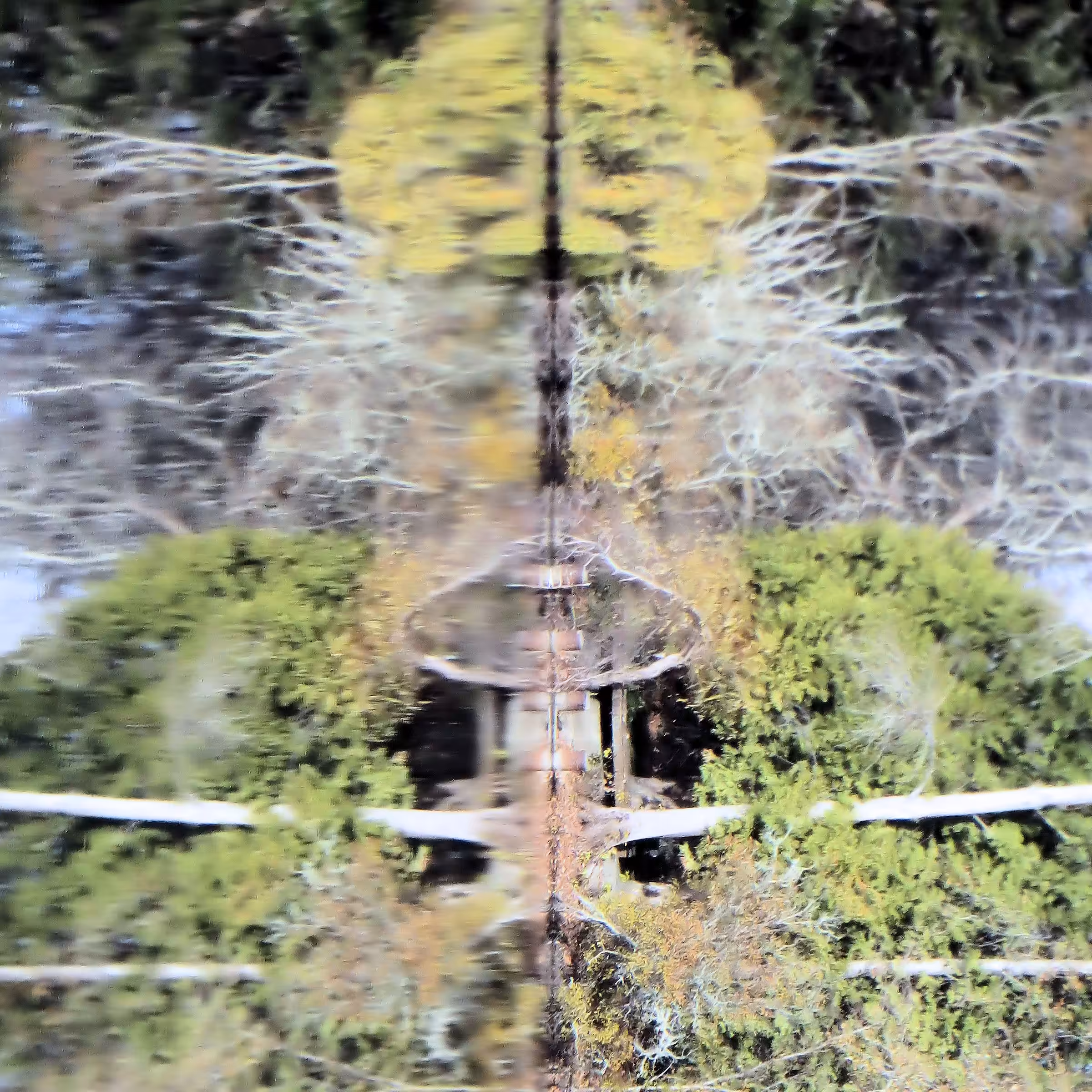 Reflection #3