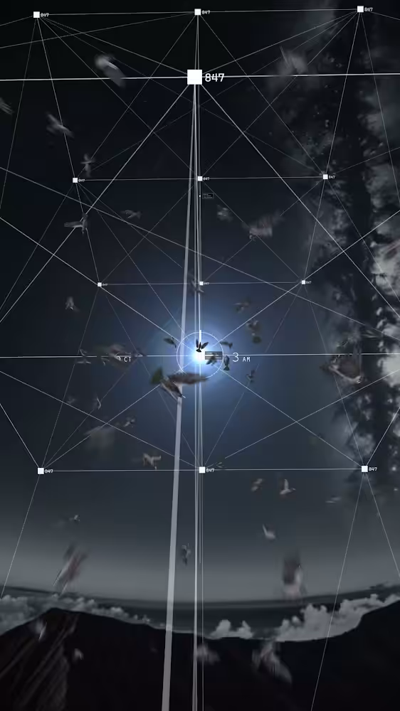 3 am 76 birds