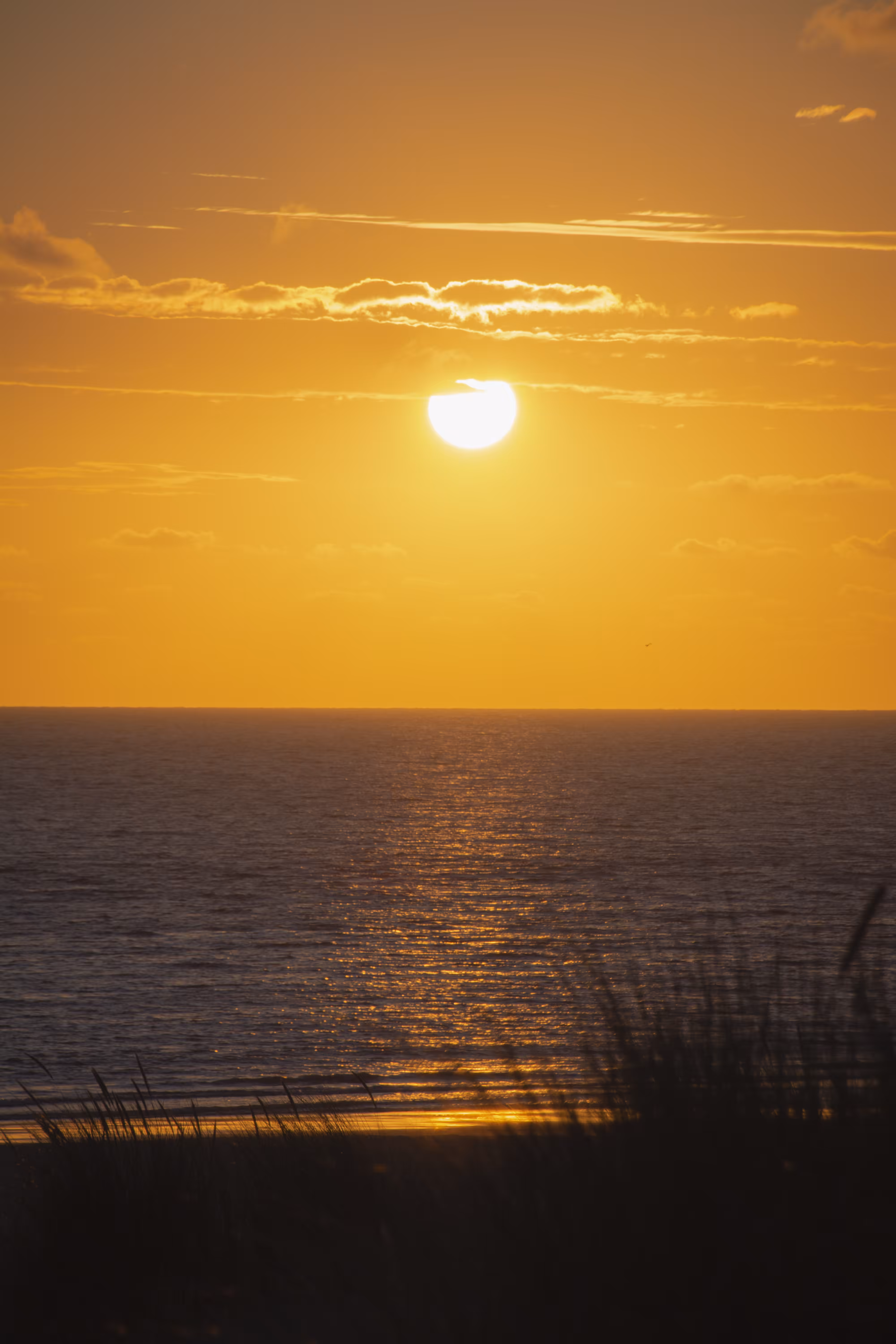 Sunset light at the Sea
