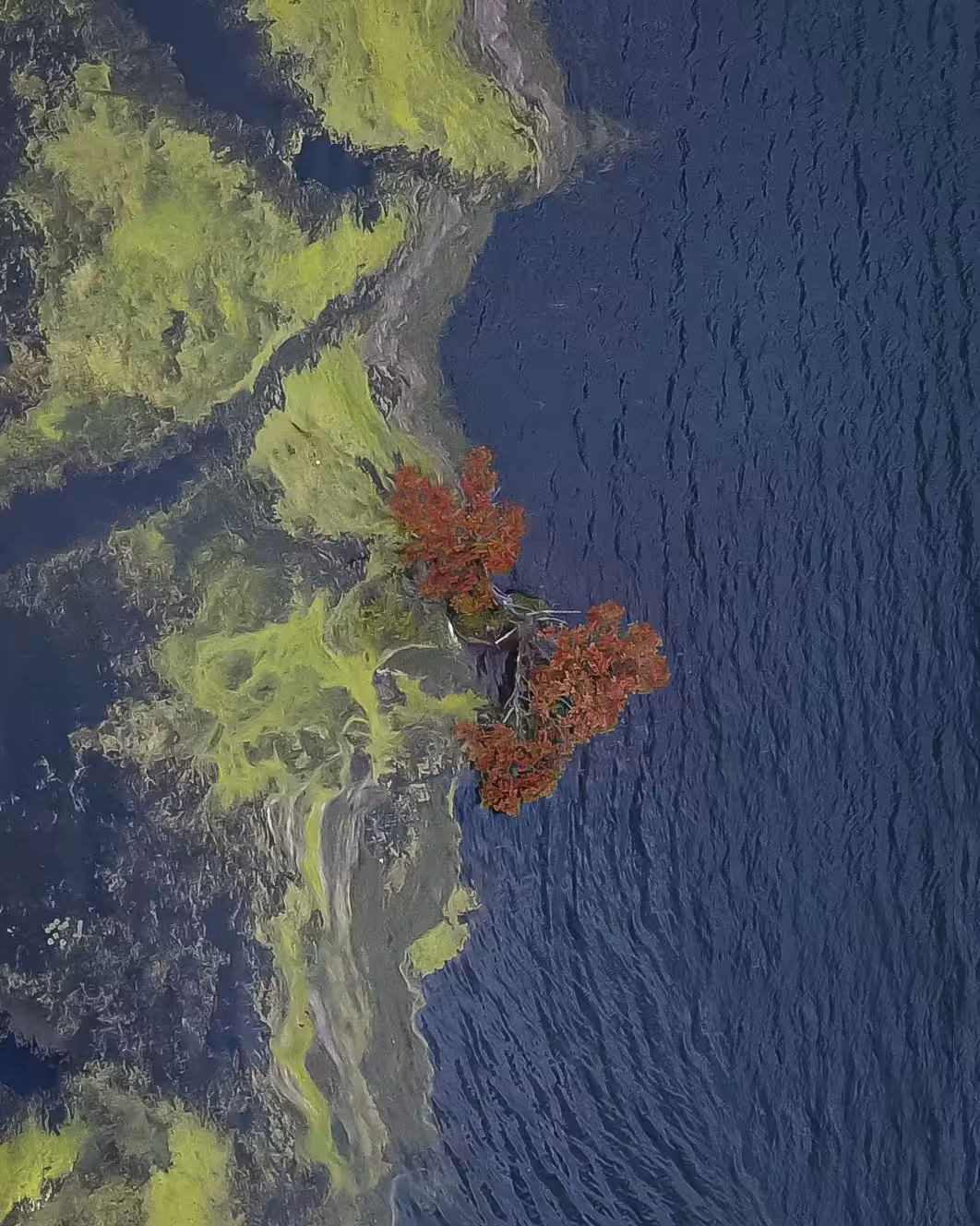 Small Islands #36