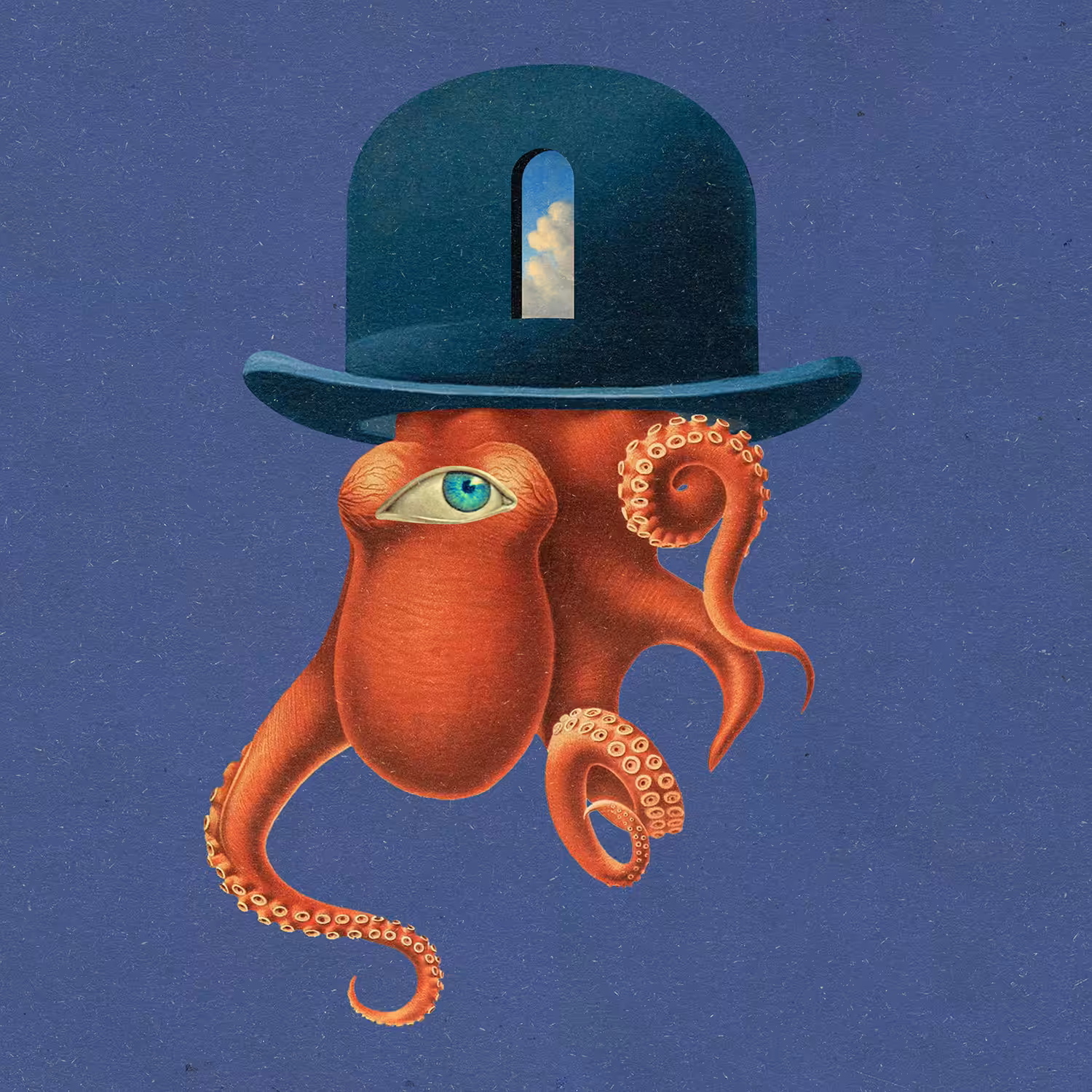 Mr. Octopus