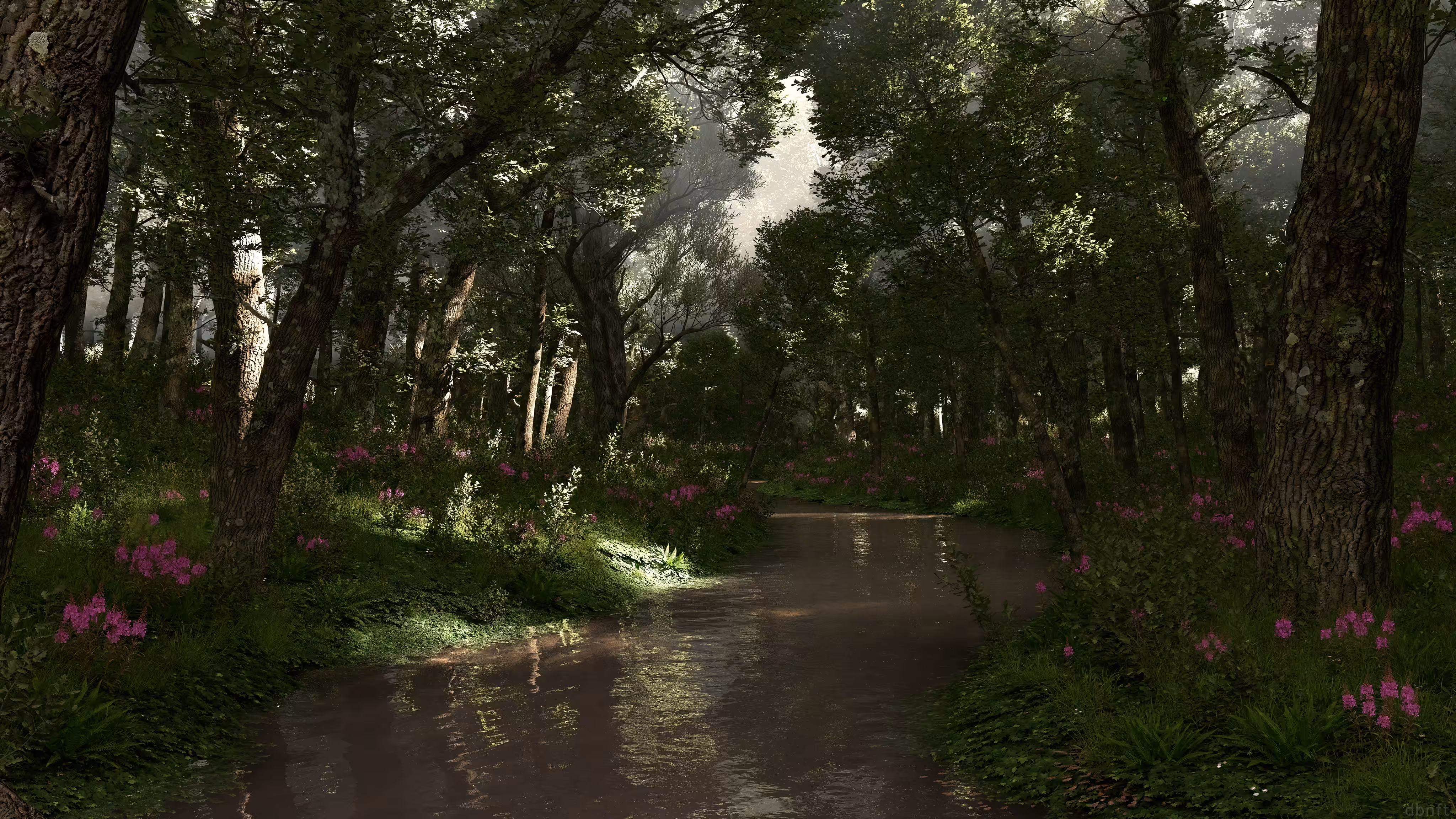 Shady Creek (2022)