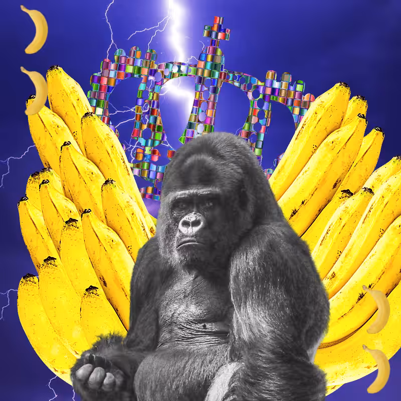 Banana gods #45