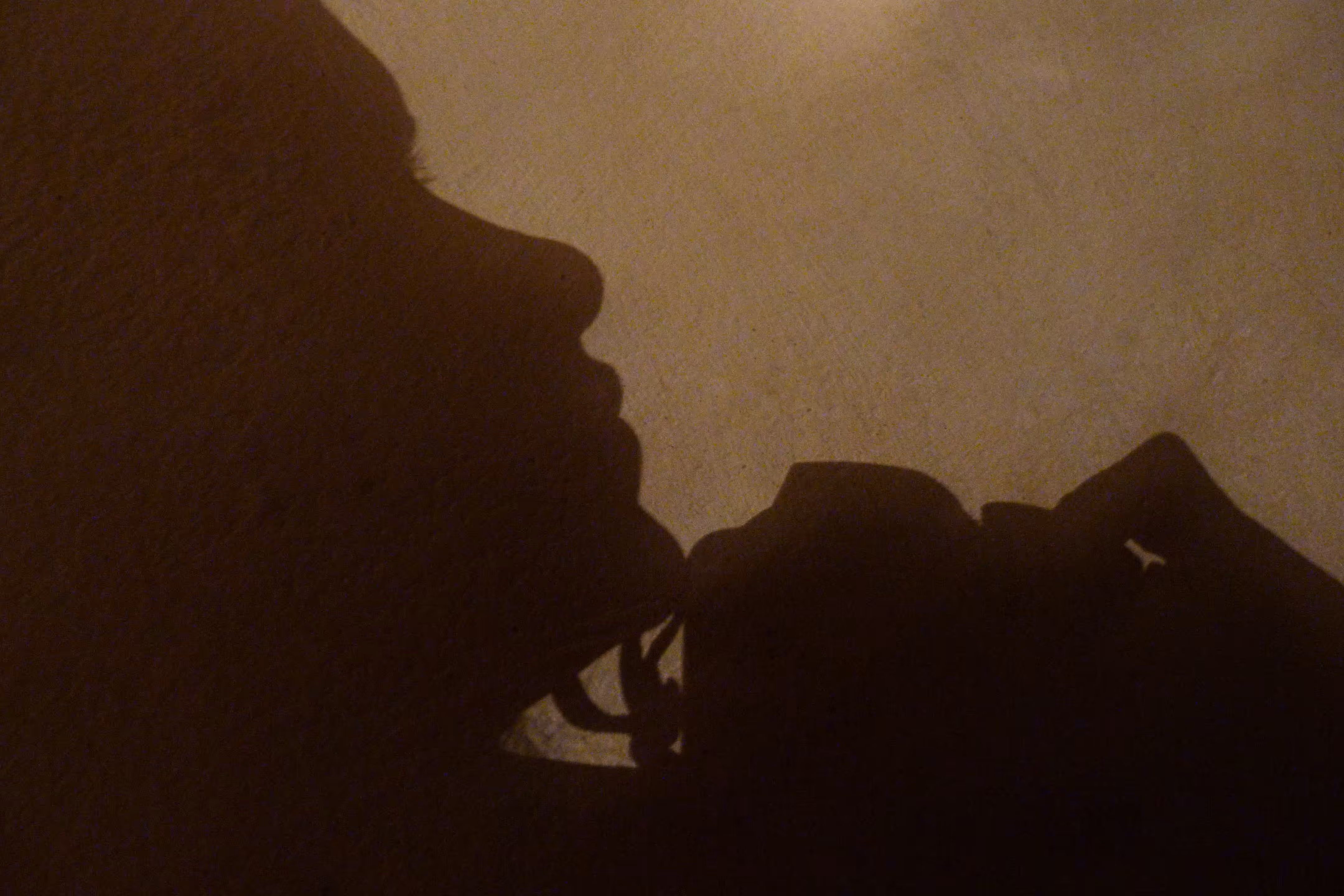 Inner Shadow