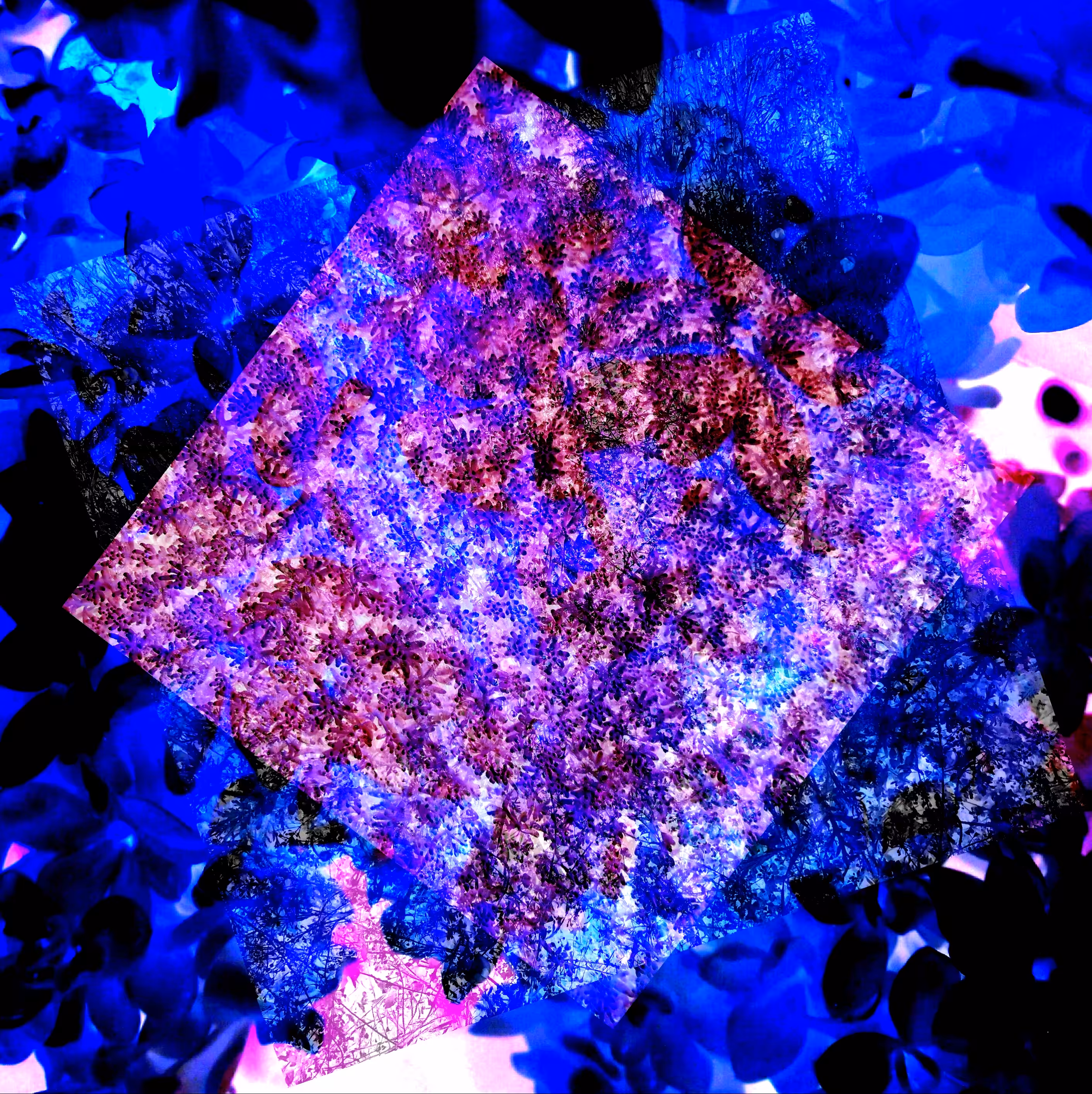 Trip 070201