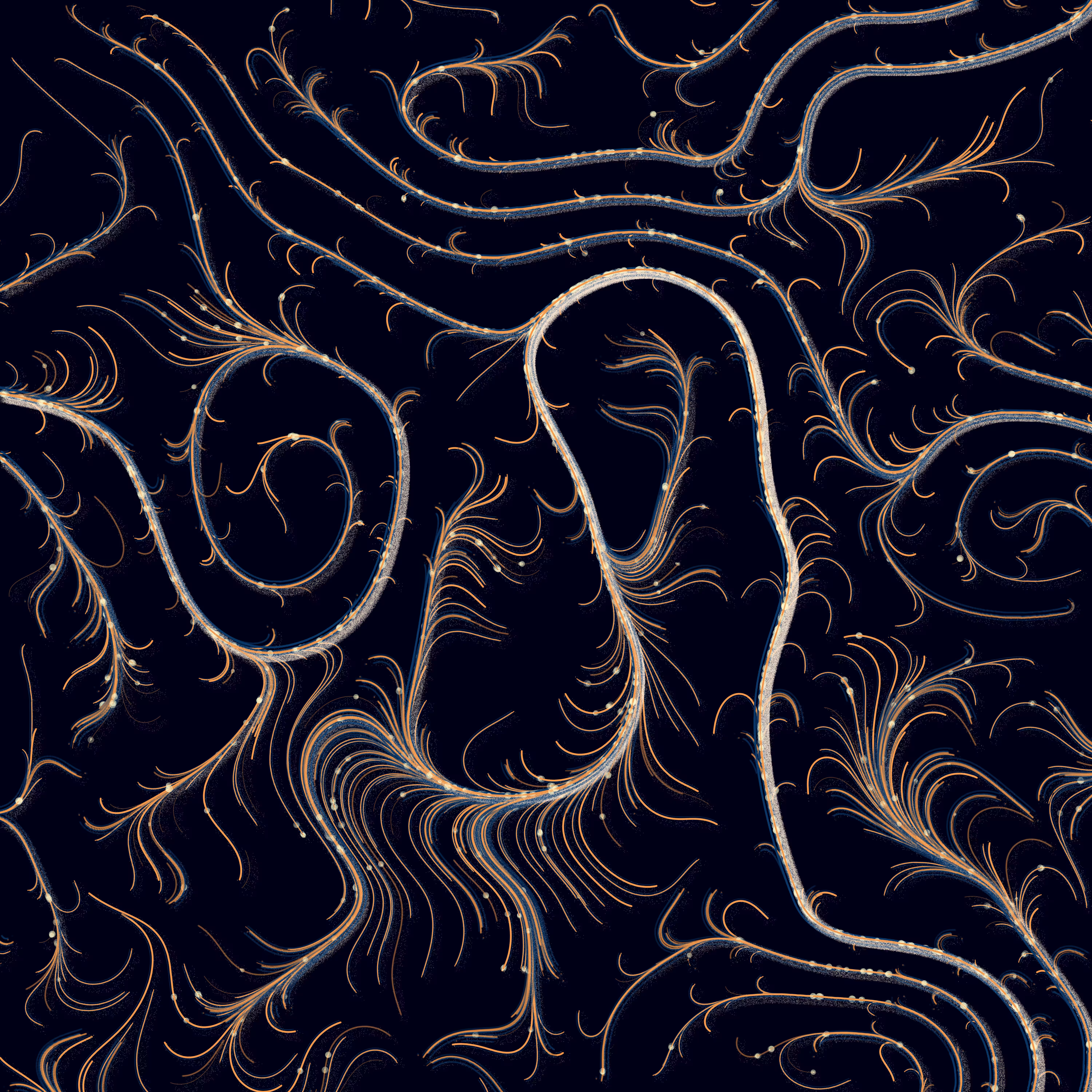 Dotsonomy: Wisdom