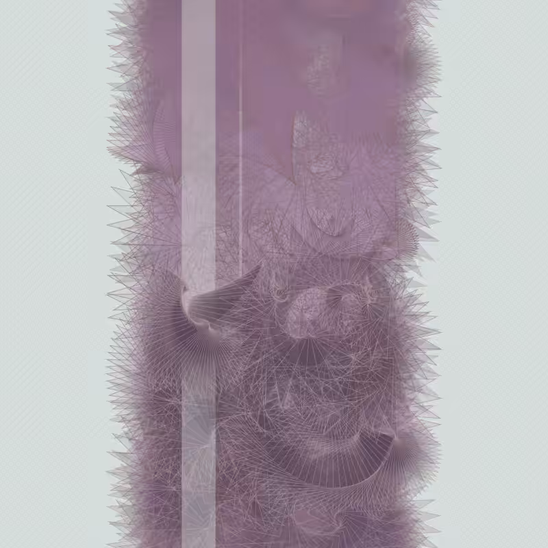 Braids/burdens #9