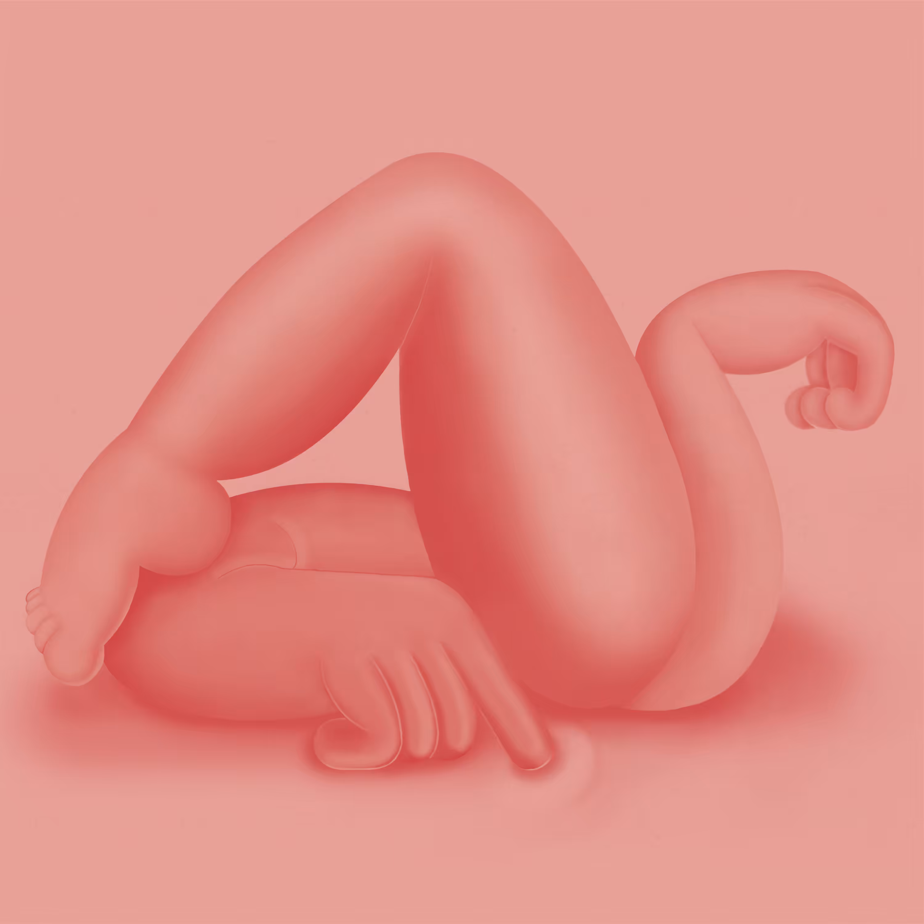 Pink Squash