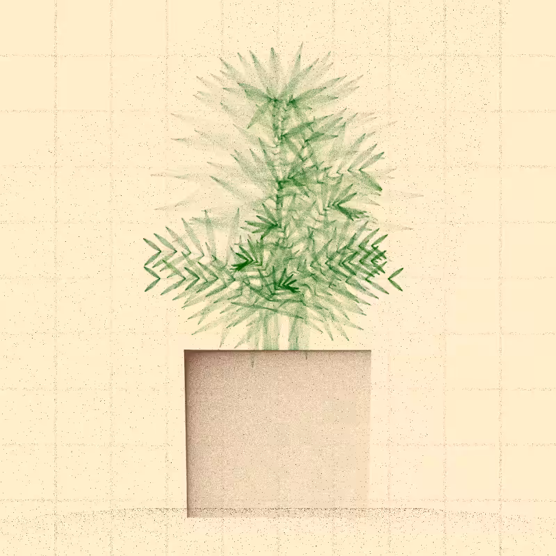 🌱 Potted & Printed #366