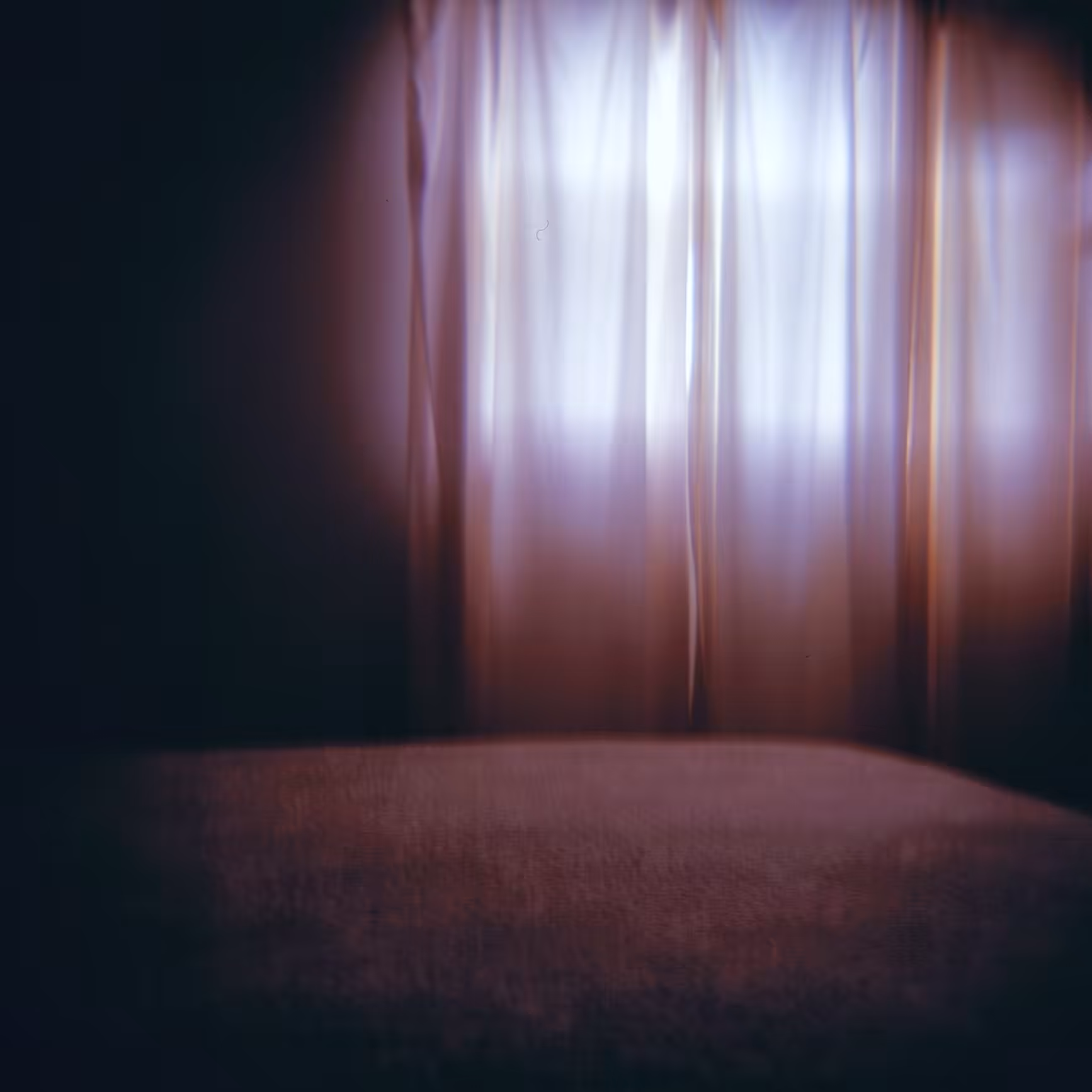 holga no. 2