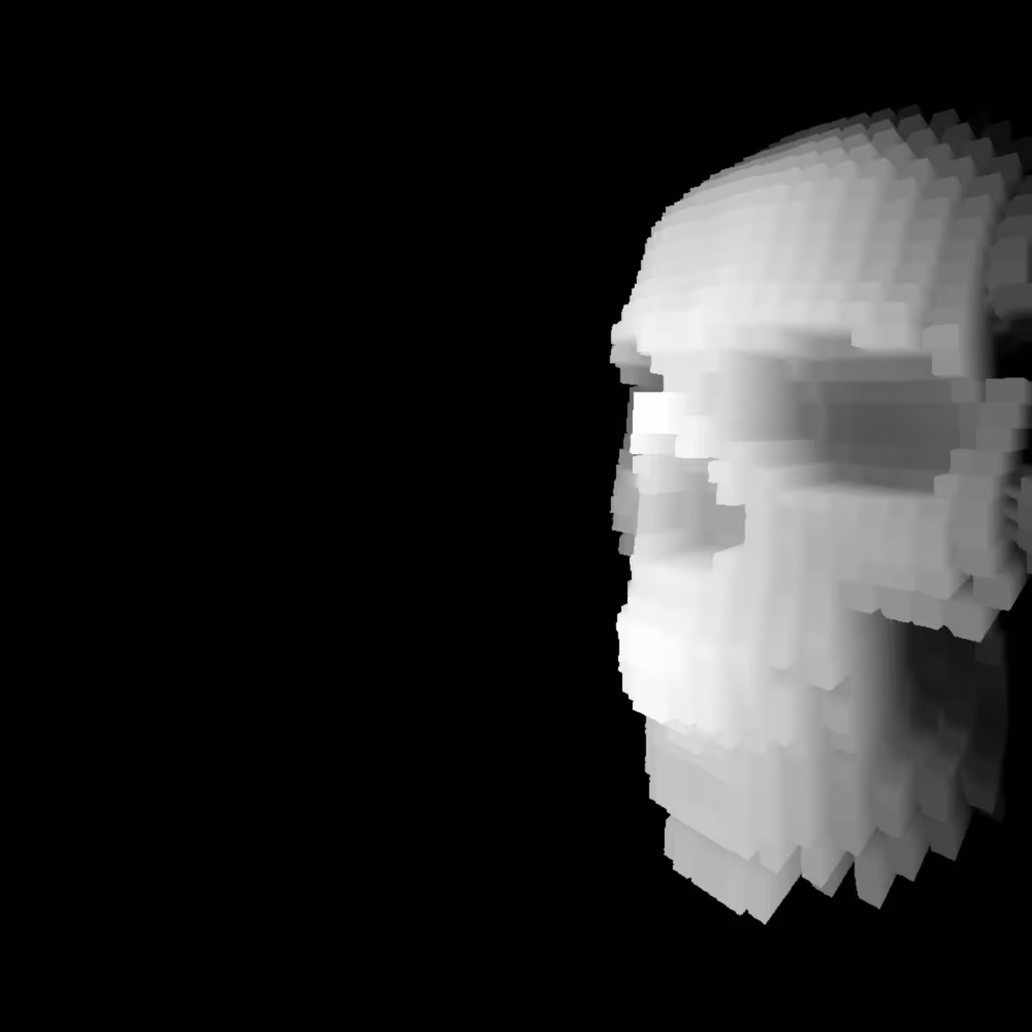 Voxel Skull
