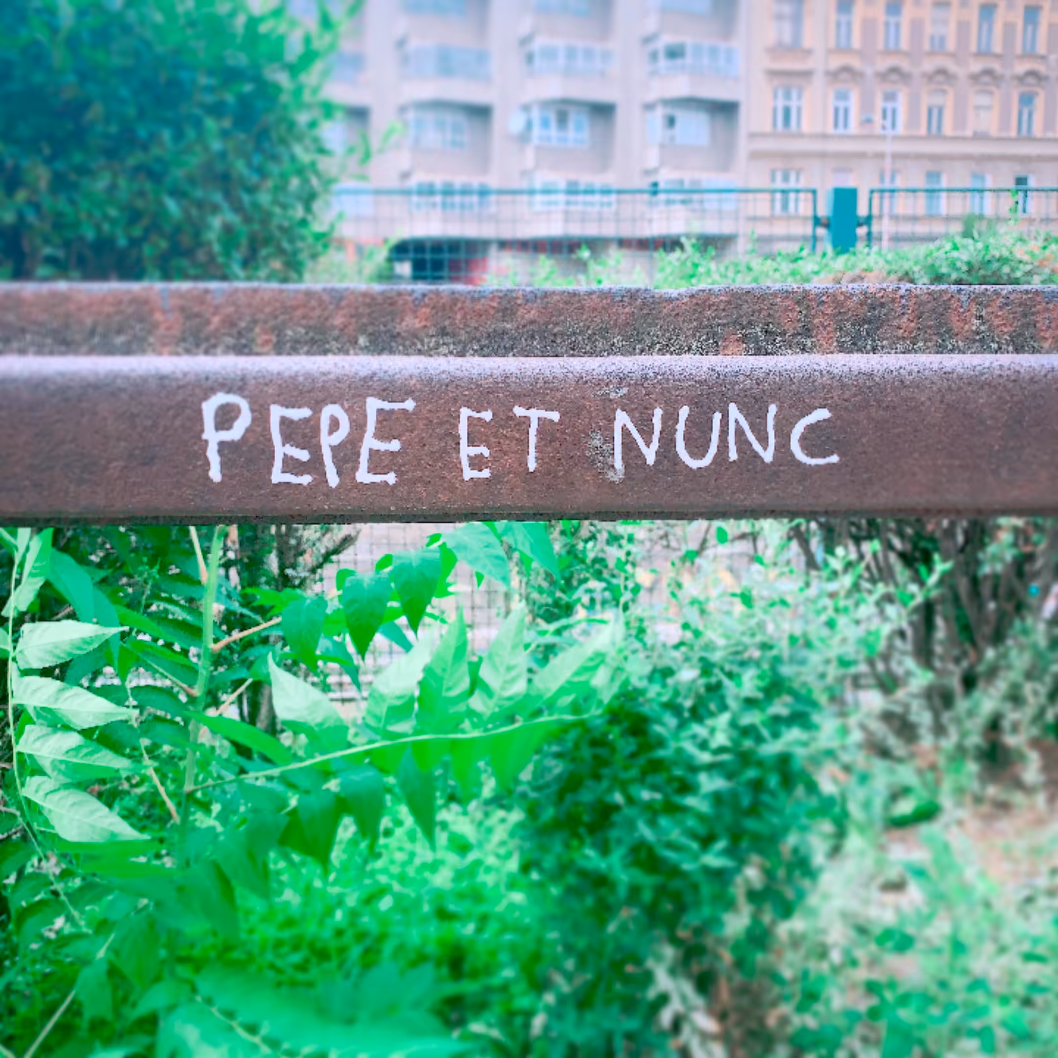 PEPE ET NUNC #1