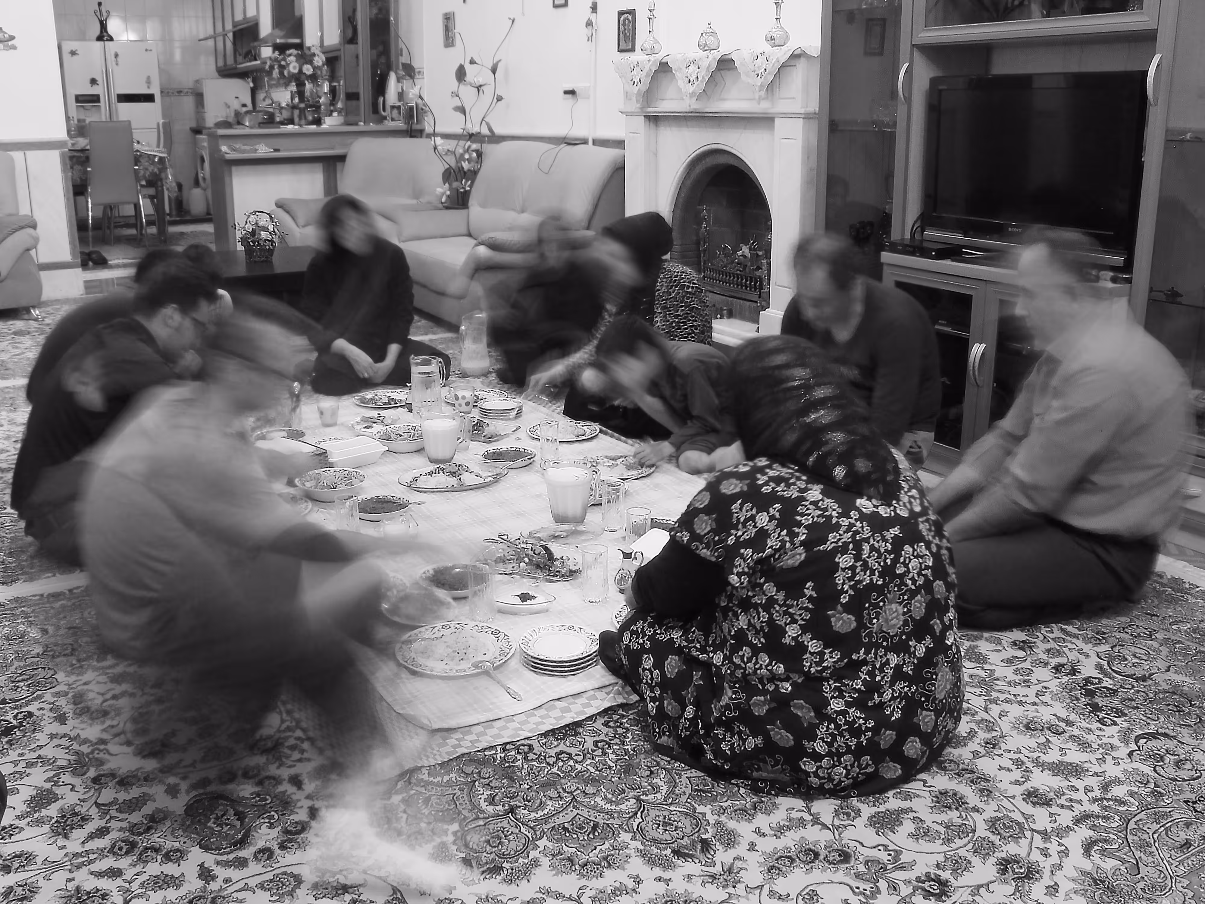 Iranian Family Party