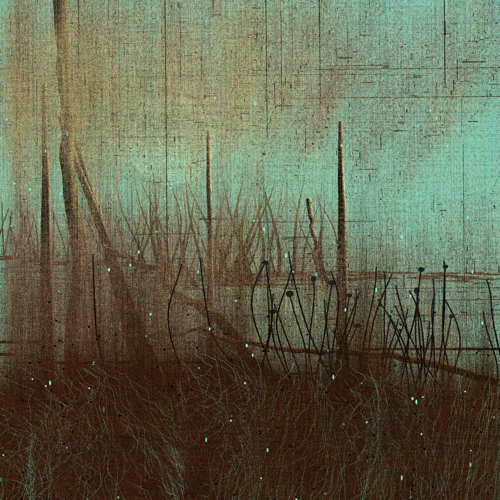 Daydream #1