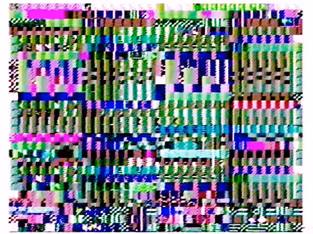stupidzwianpunk01