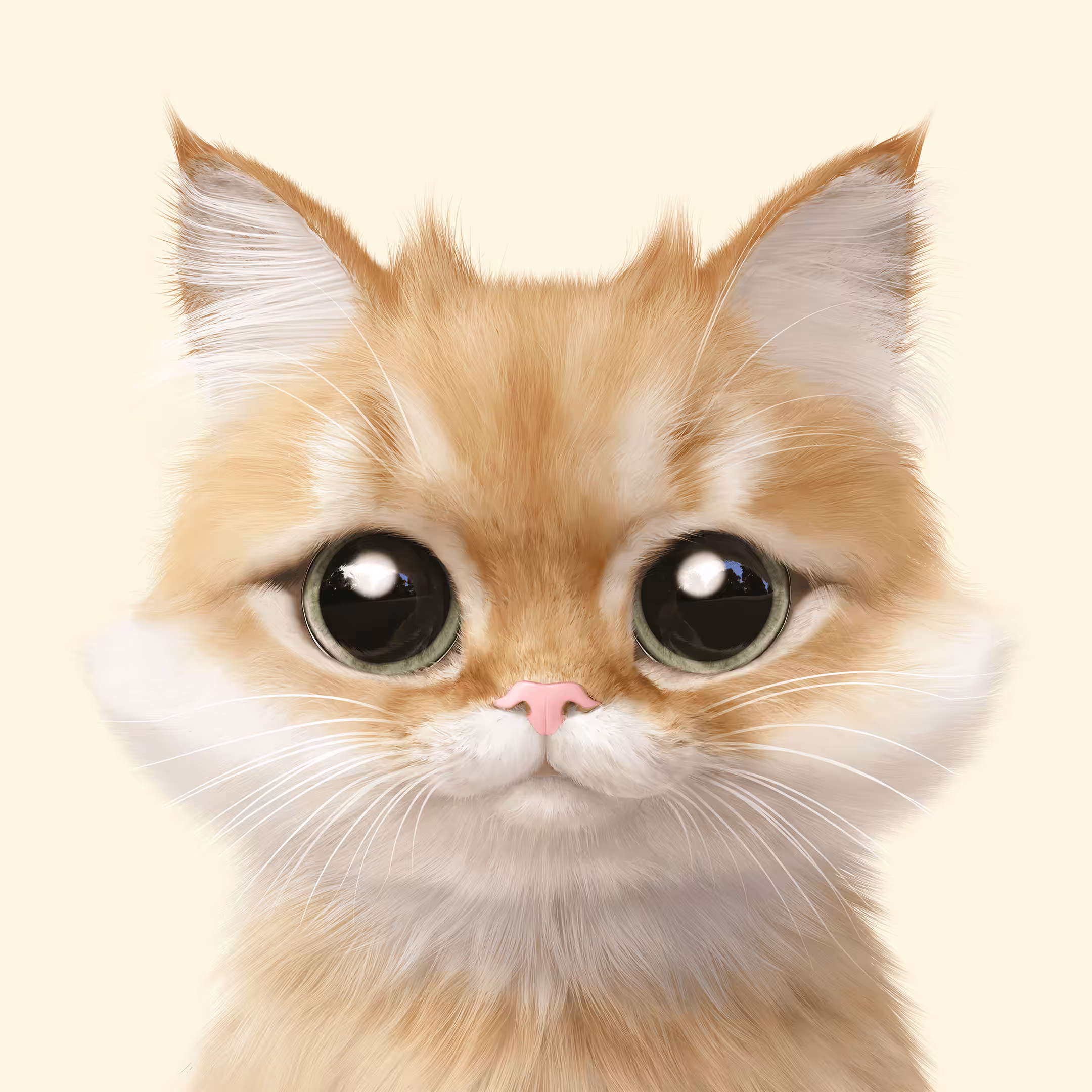 #225 Kkukku